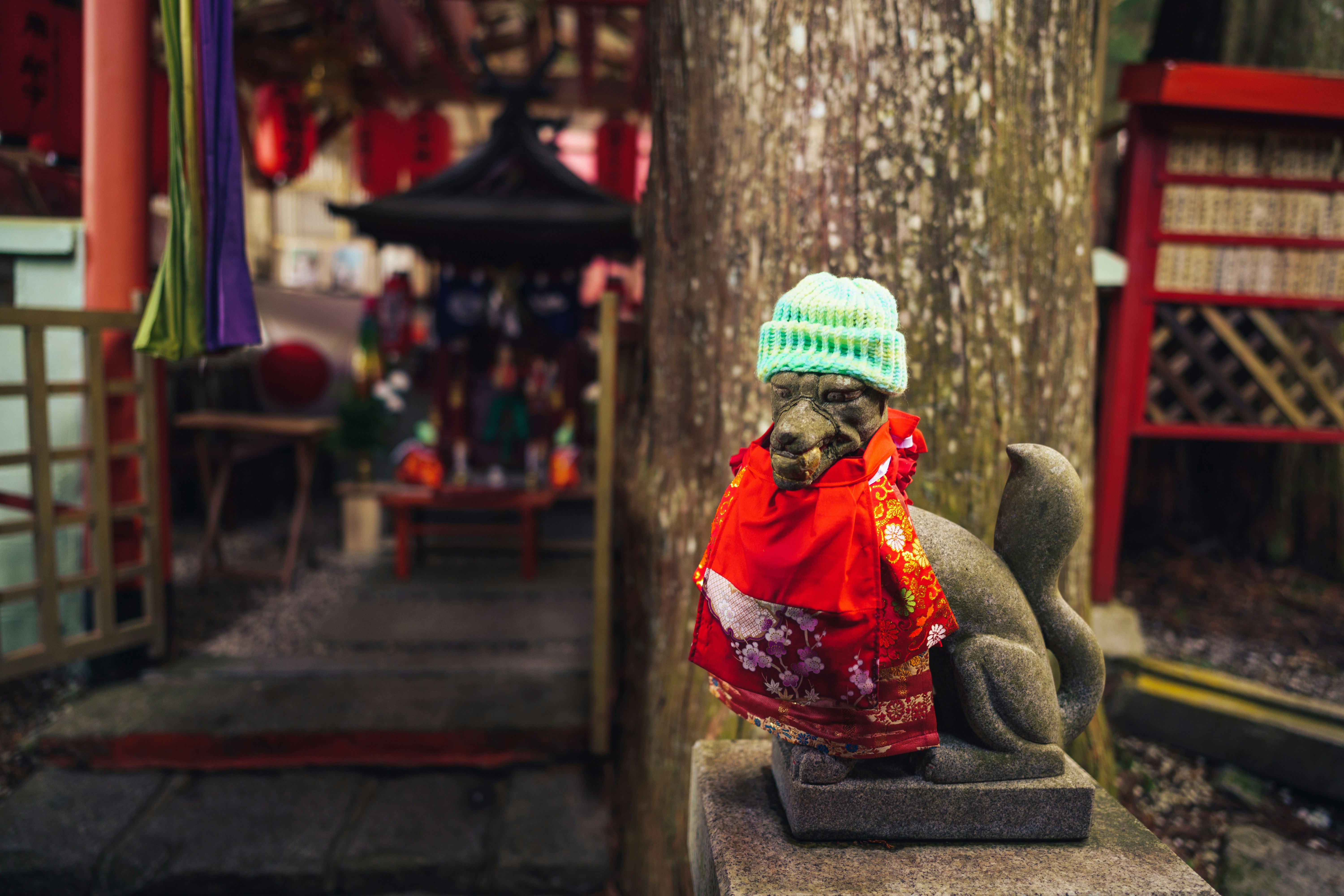 Photo by mirrors_are_more_fun