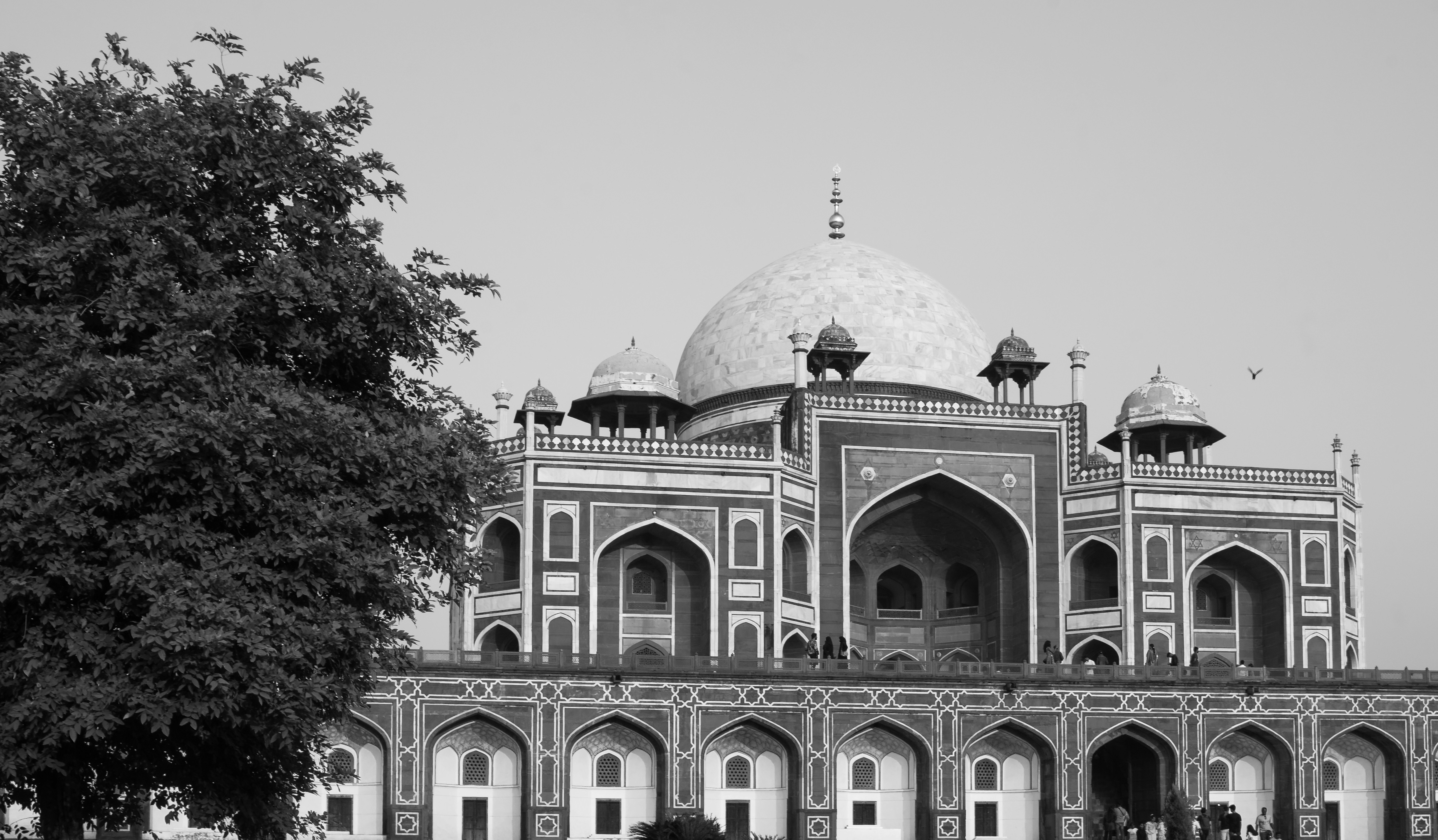 Photo by zoshuacolah