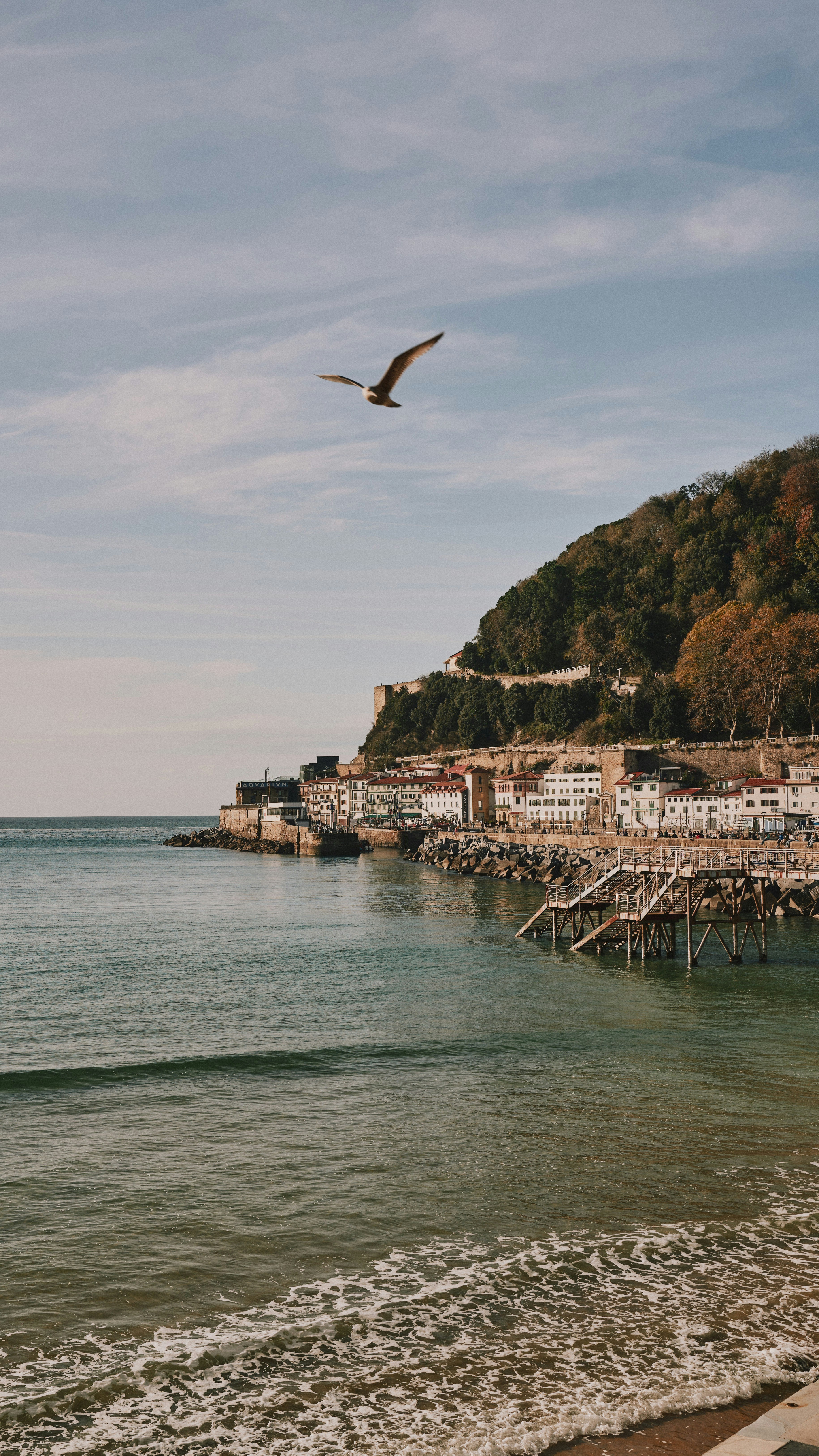 Seagull flies over a coastal town and ocean.