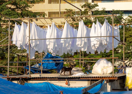 White laundry hanging on racks with a dog below.