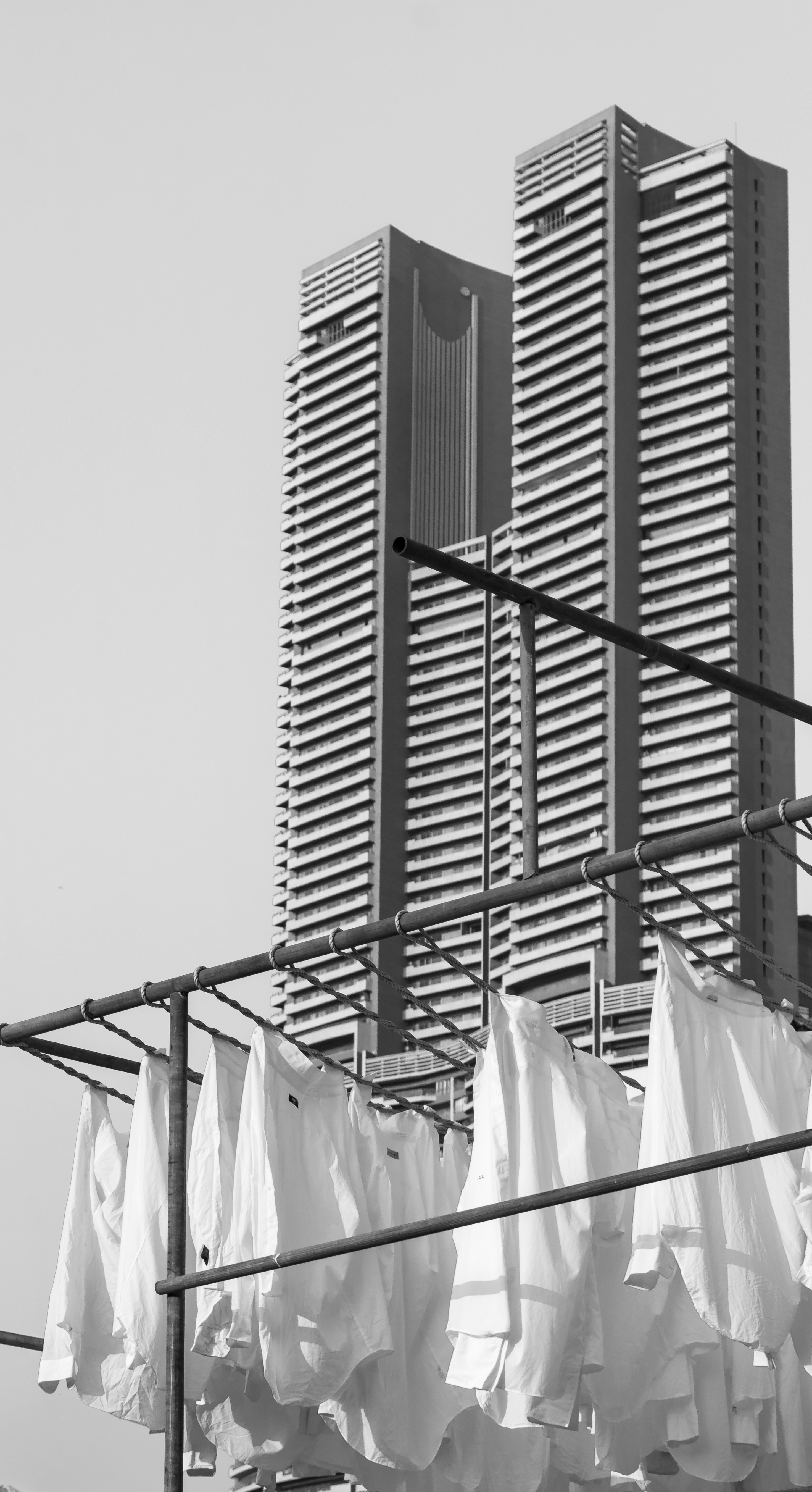 Photo by zoshuacolah