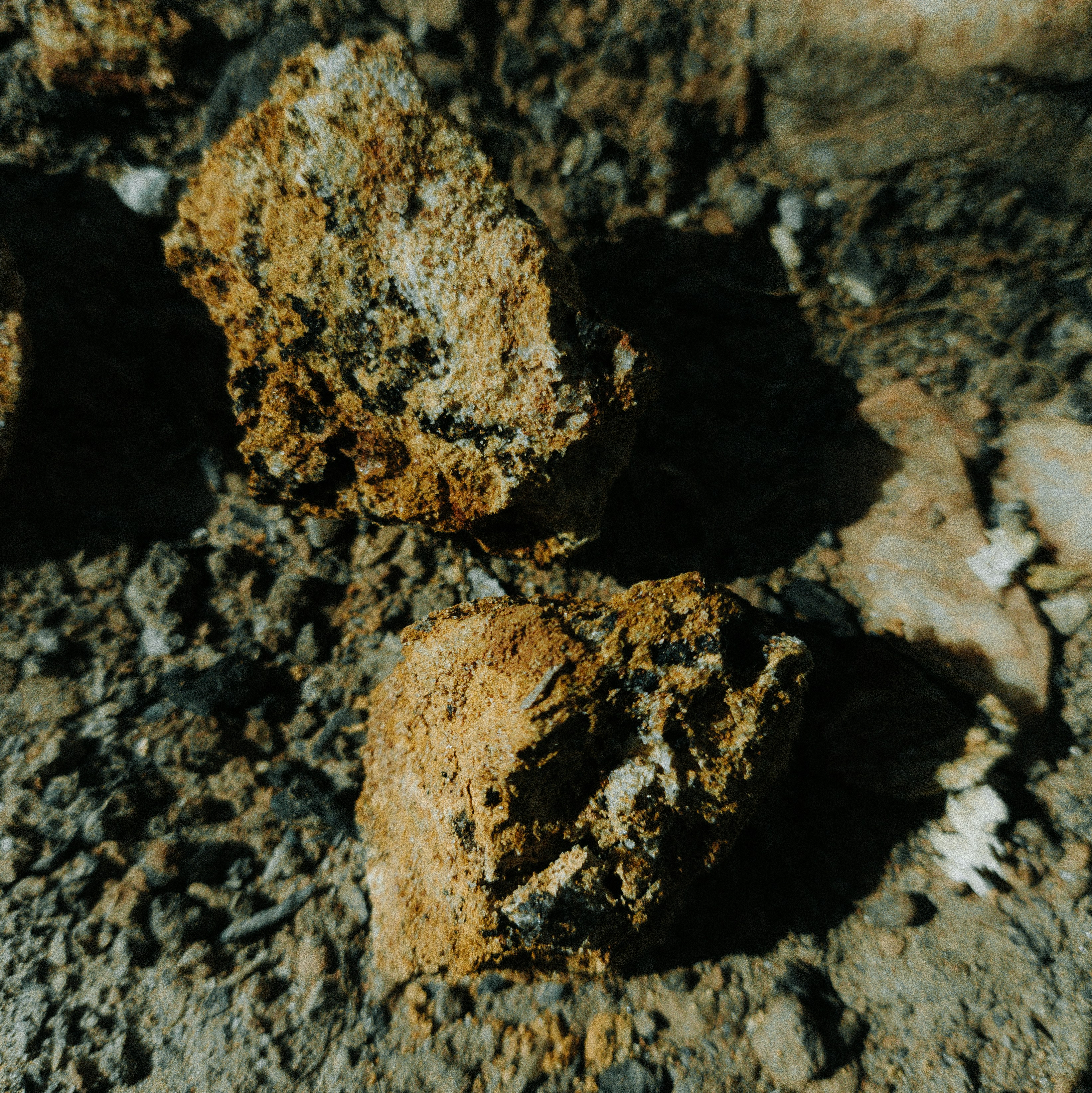 Photo by euigorbispo