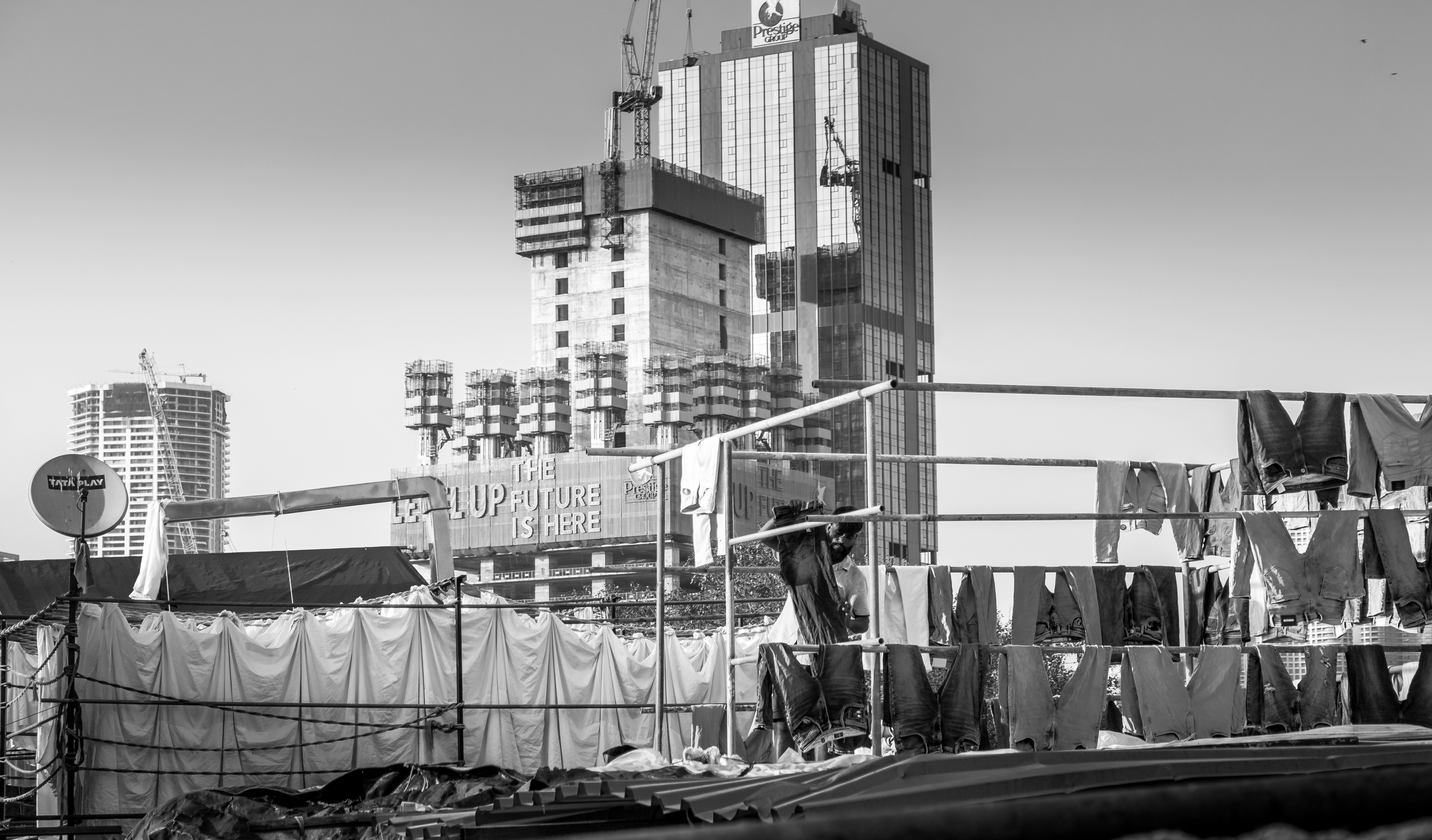 Photo by zoshuacolah