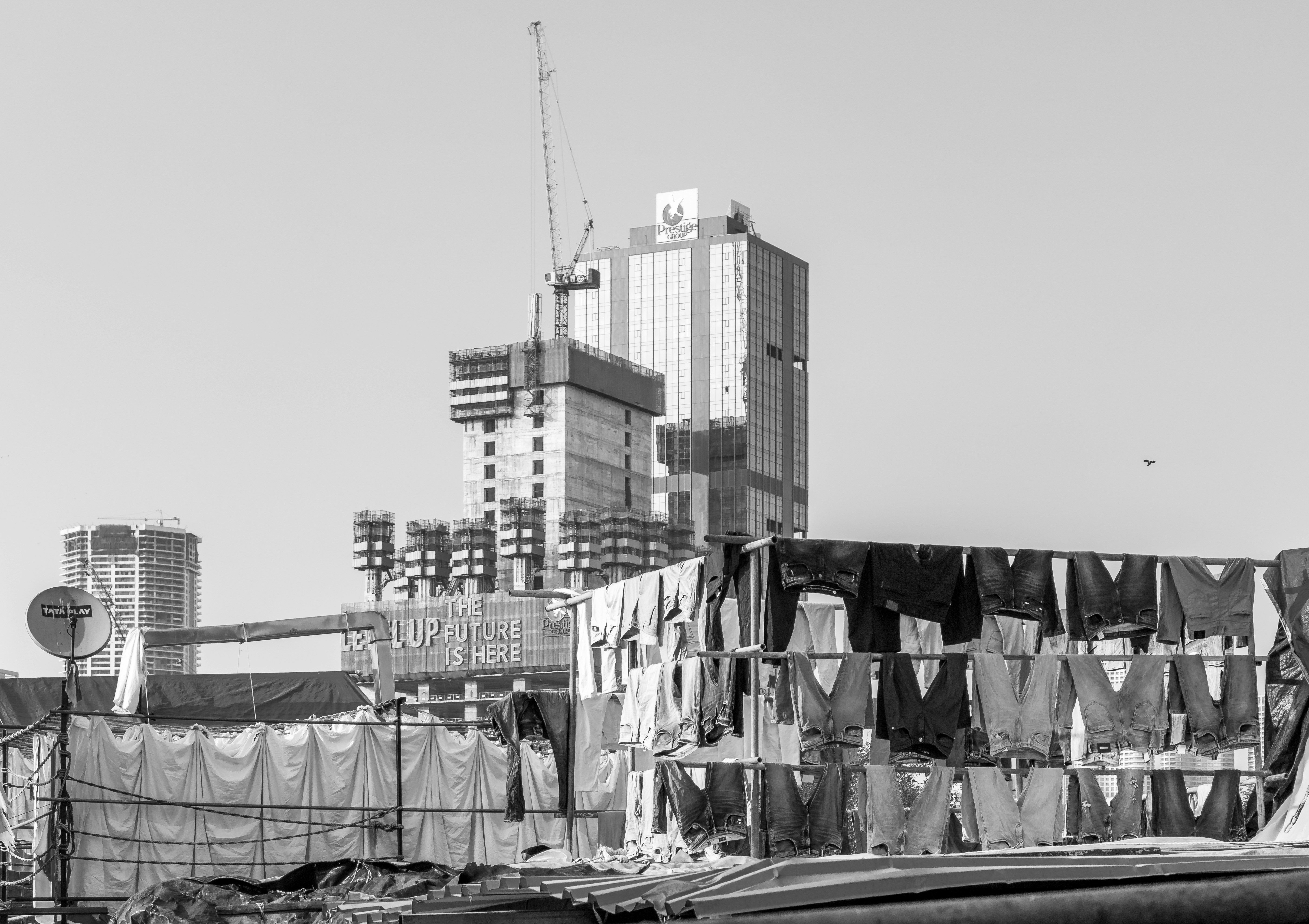 Photo by zoshuacolah