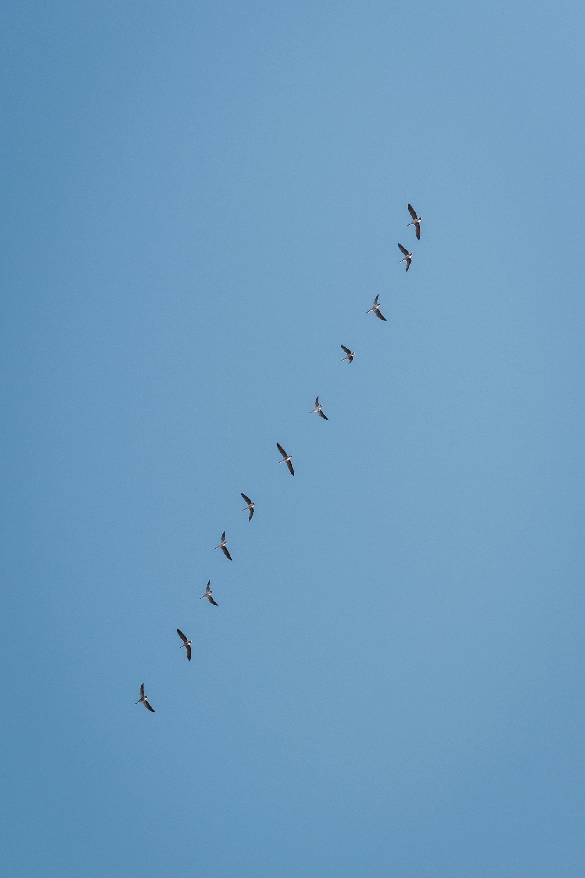 Photo by ahmetyuksek