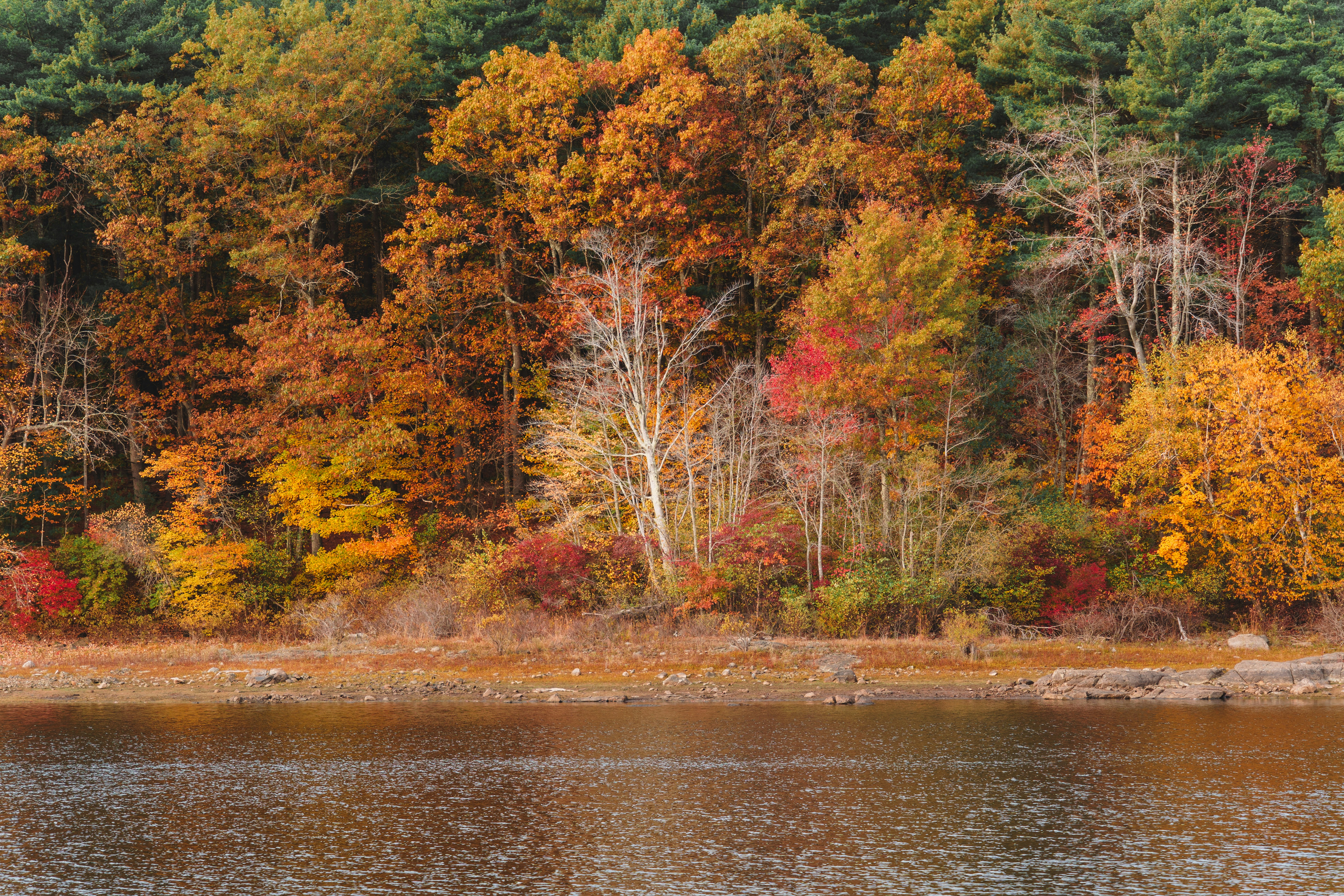 Photo by yileijerrybao