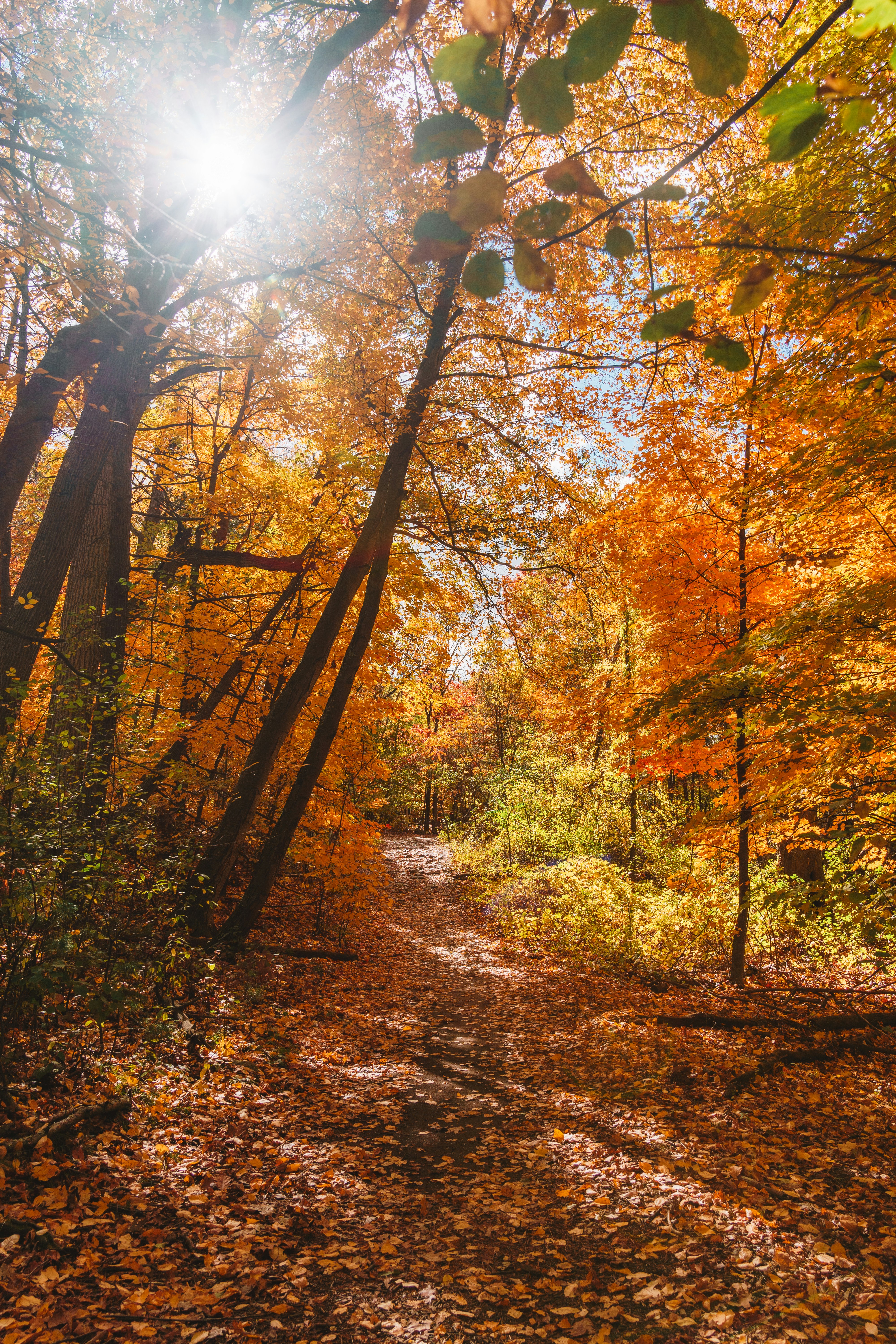 Photo by yileijerrybao