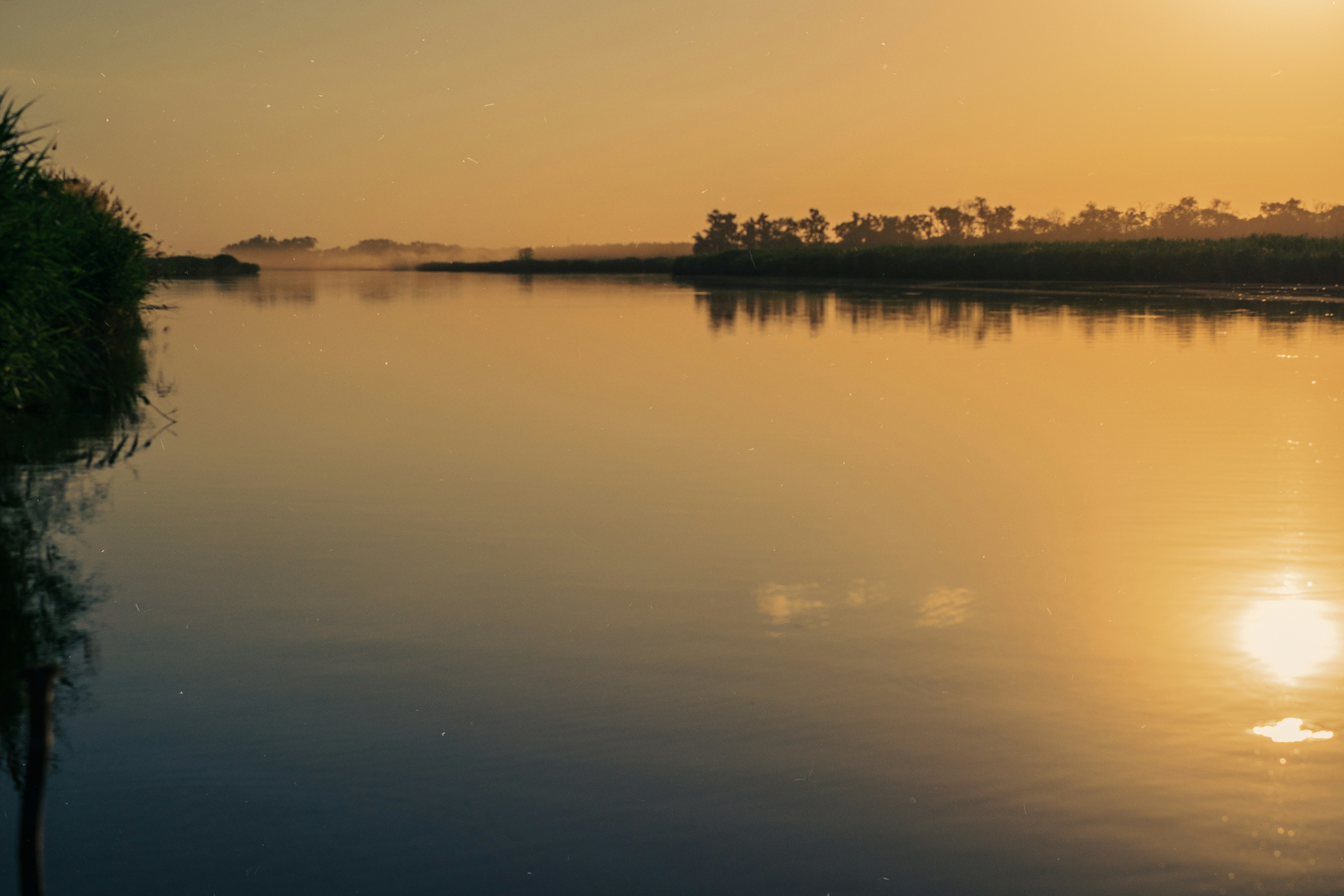 Photo by alinachernovol