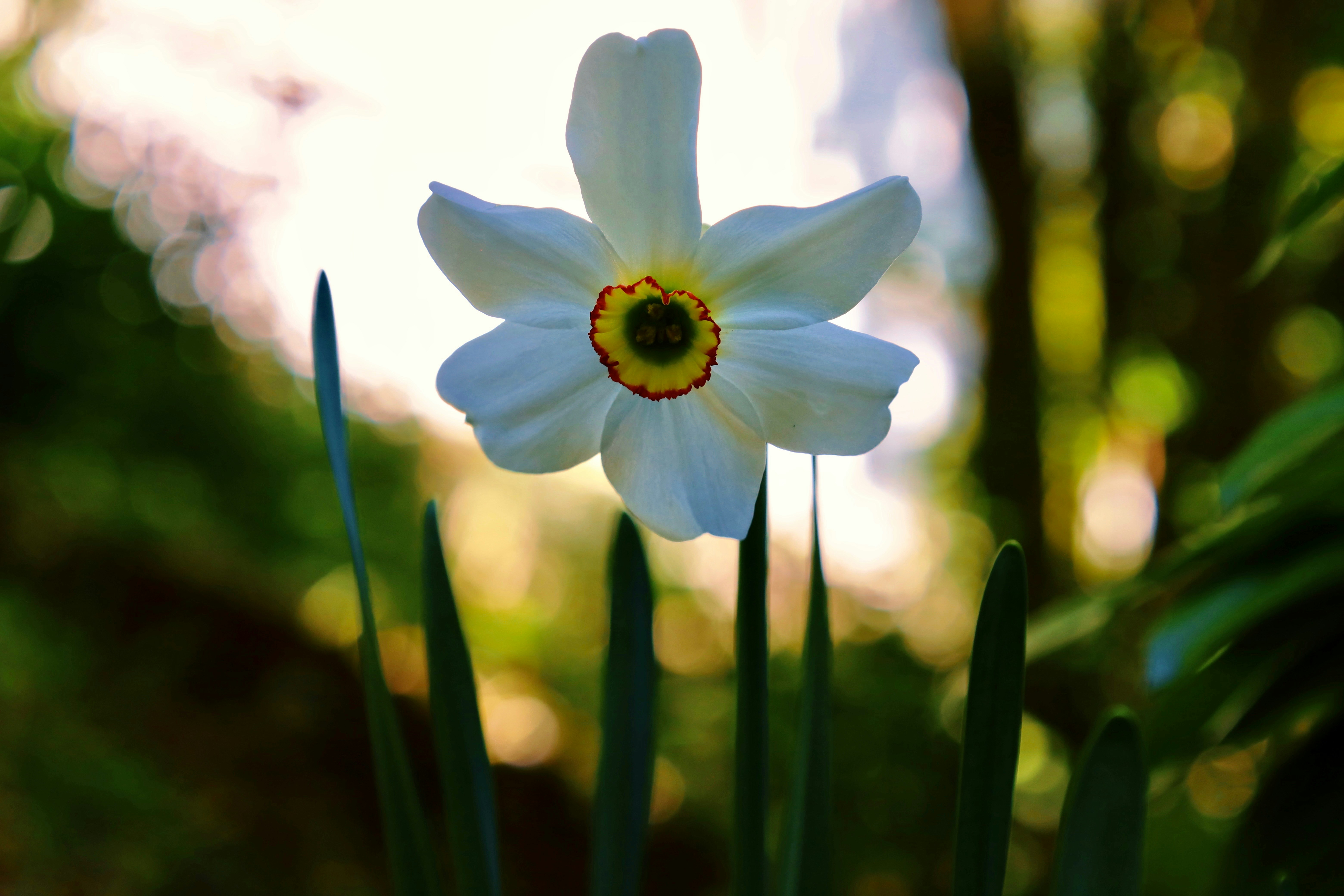 Photo by ananoelleeeee