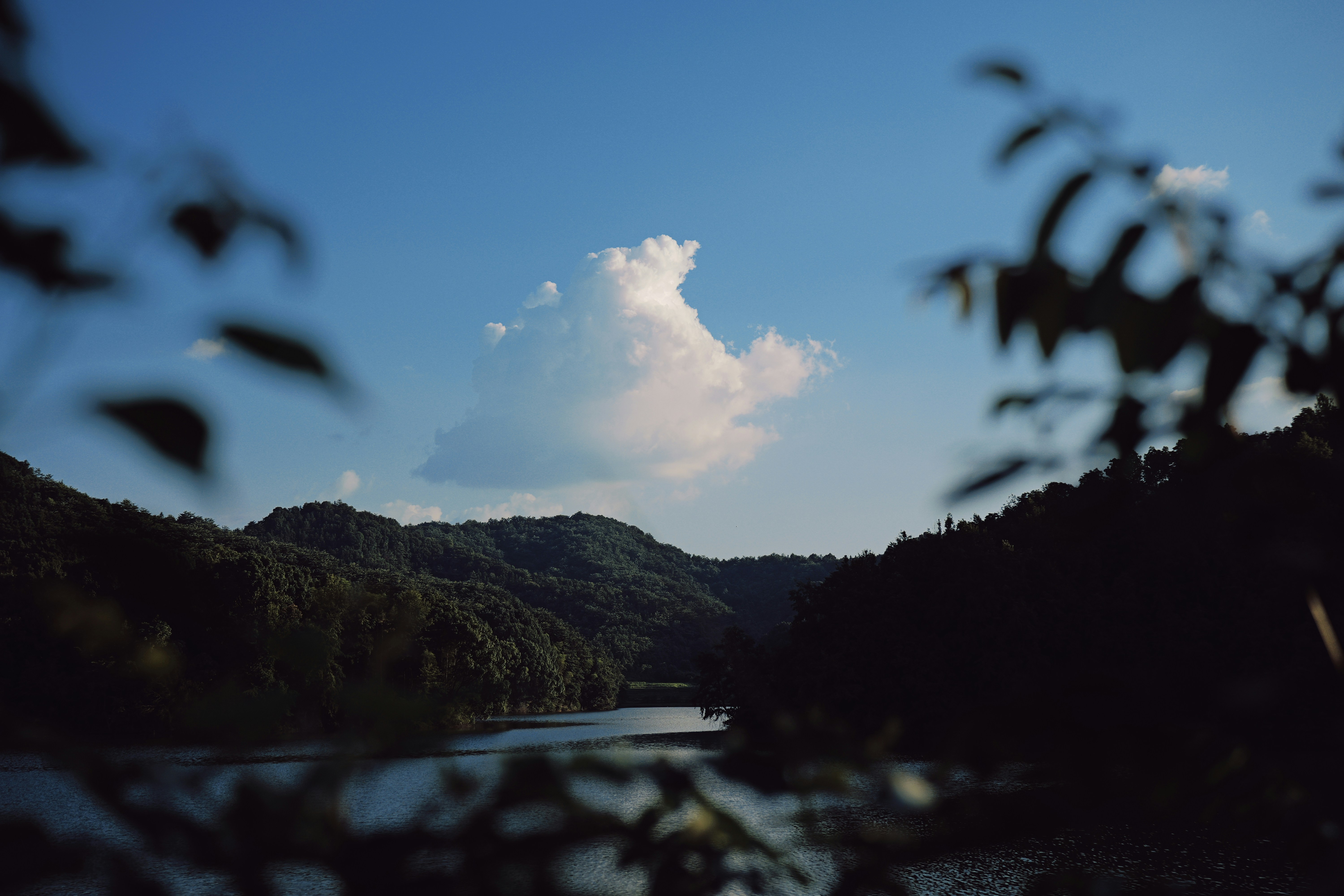 Photo by b1n_1100010