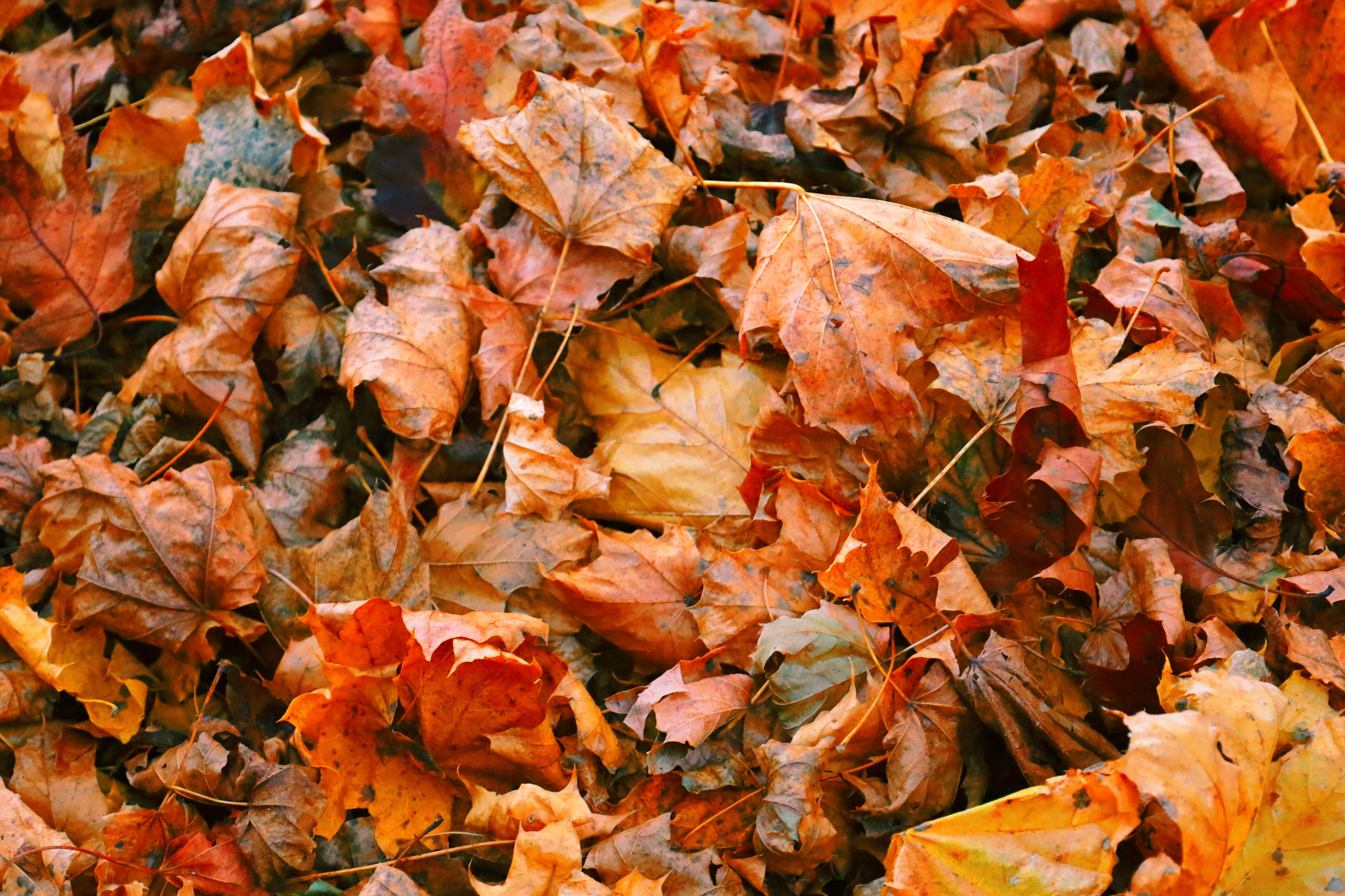 Photo by ananoelleeeee