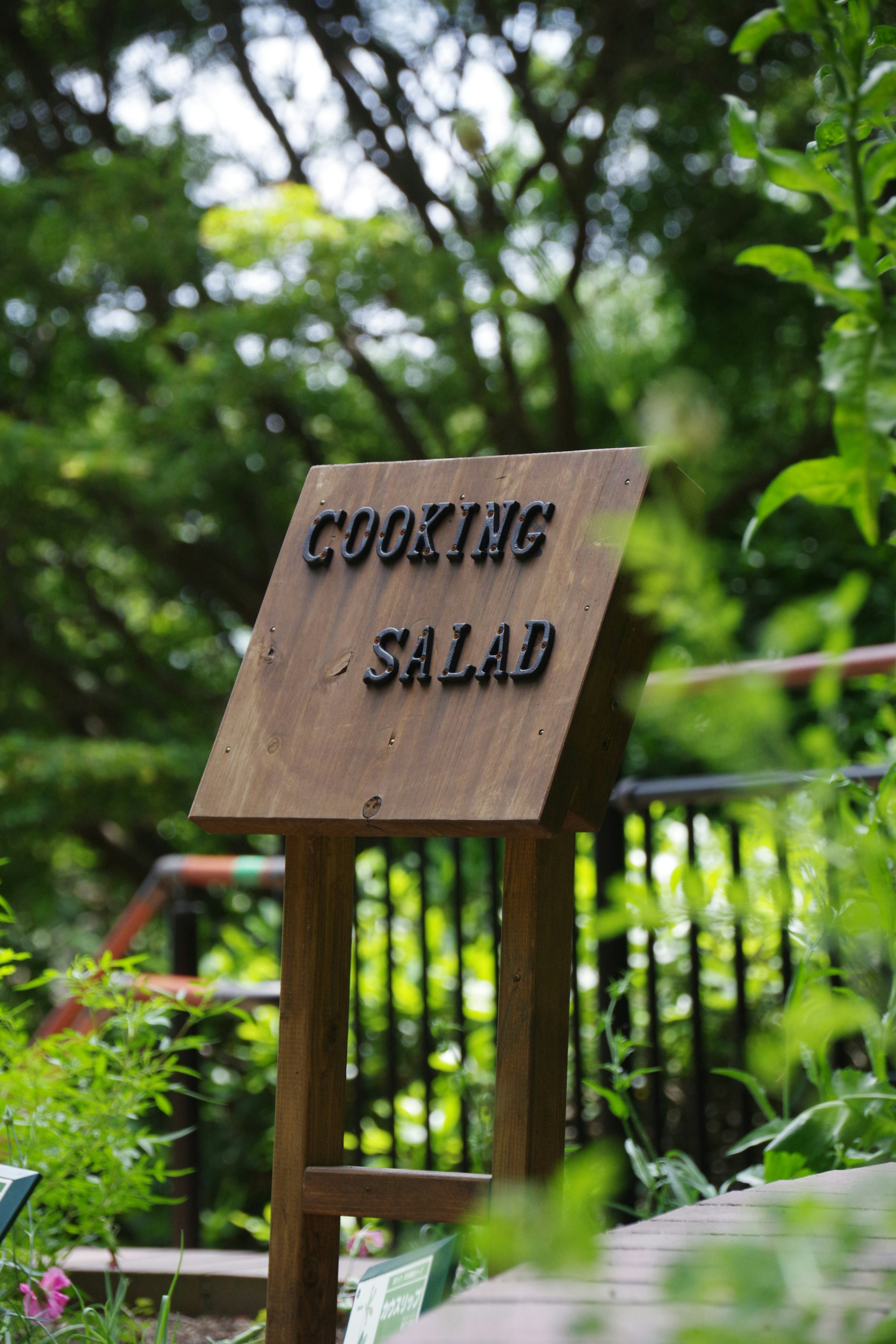 Wooden sign for cooking salad in garden