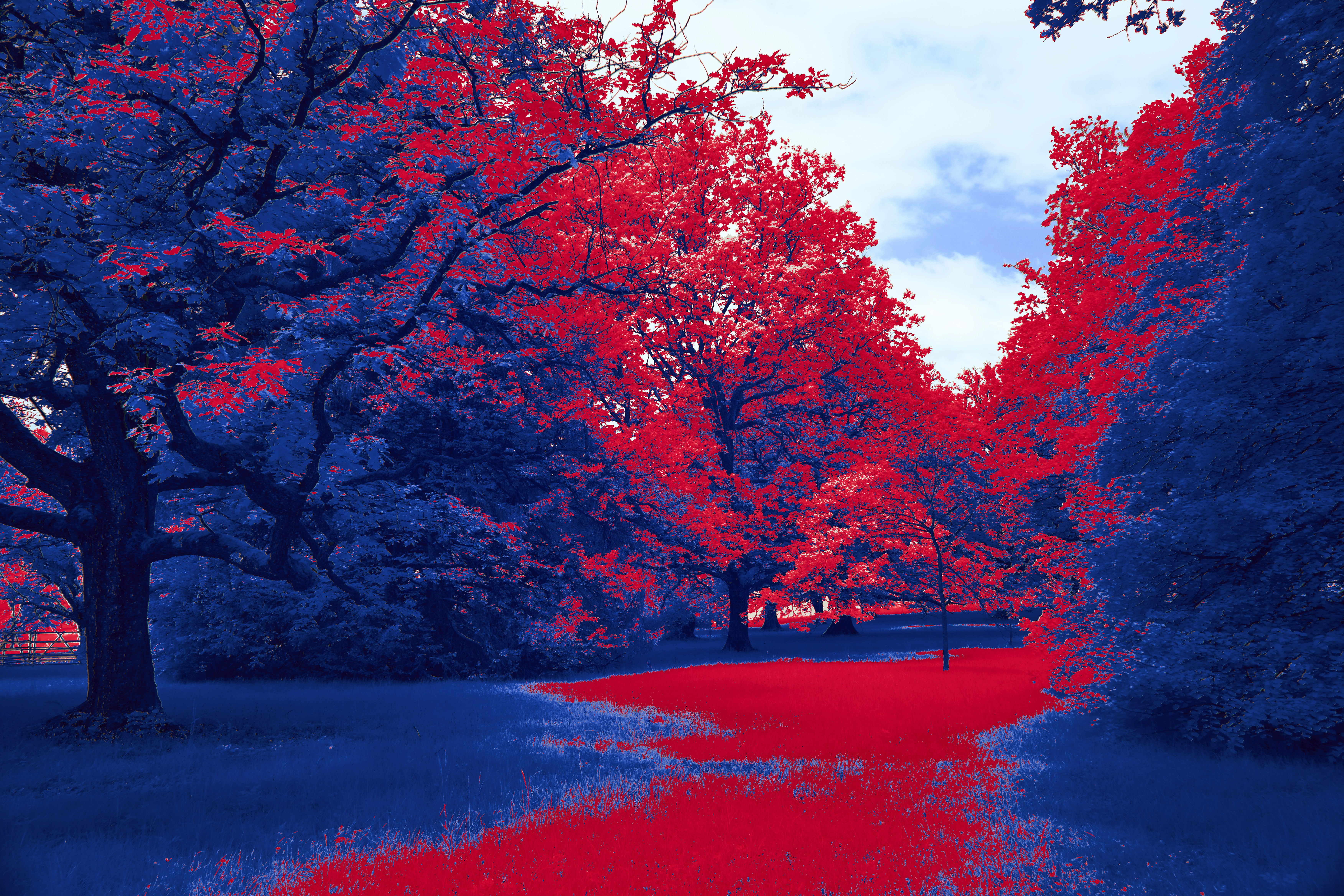 Photo by wolfgang_hasselmann