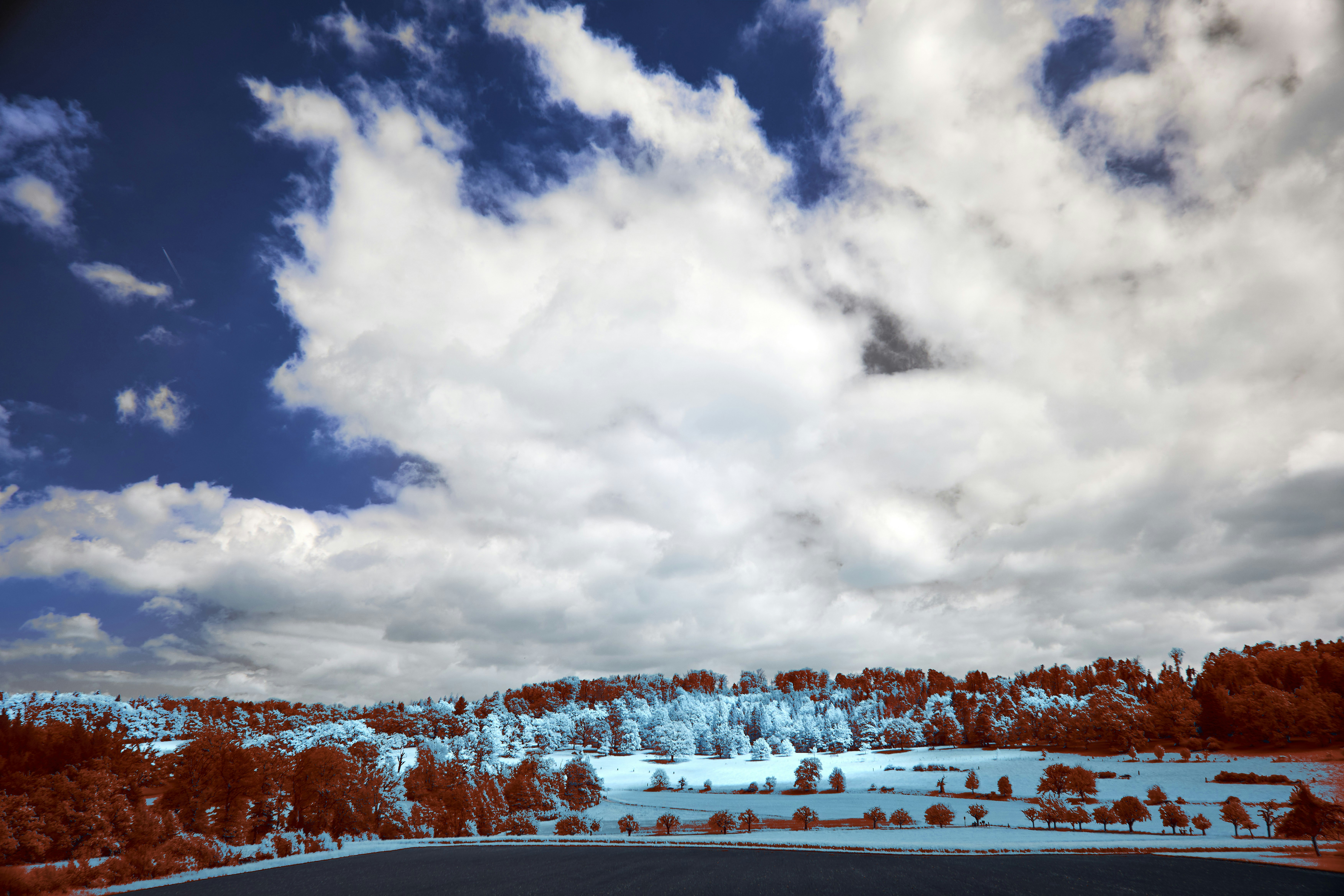 Photo by wolfgang_hasselmann