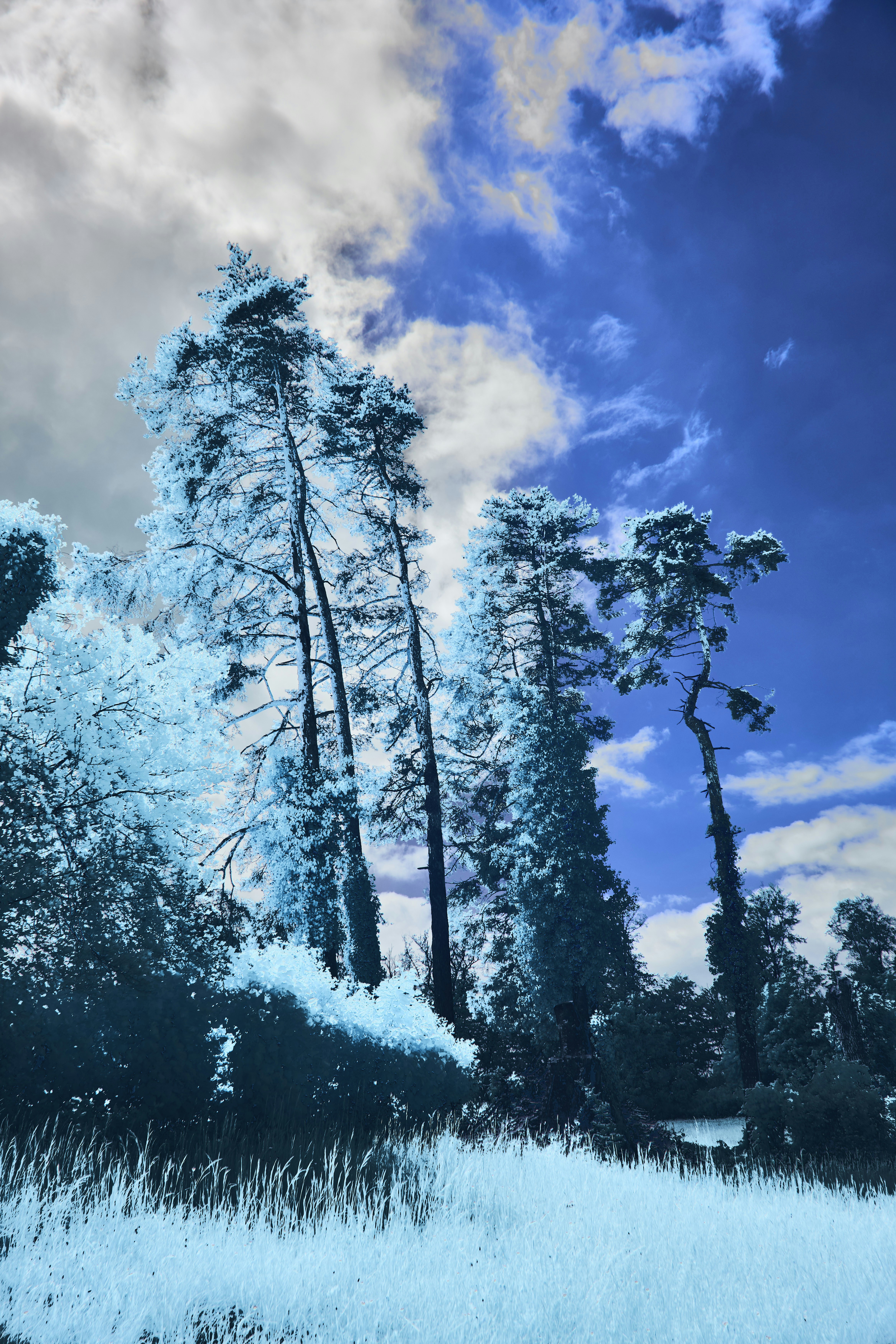 Photo by wolfgang_hasselmann