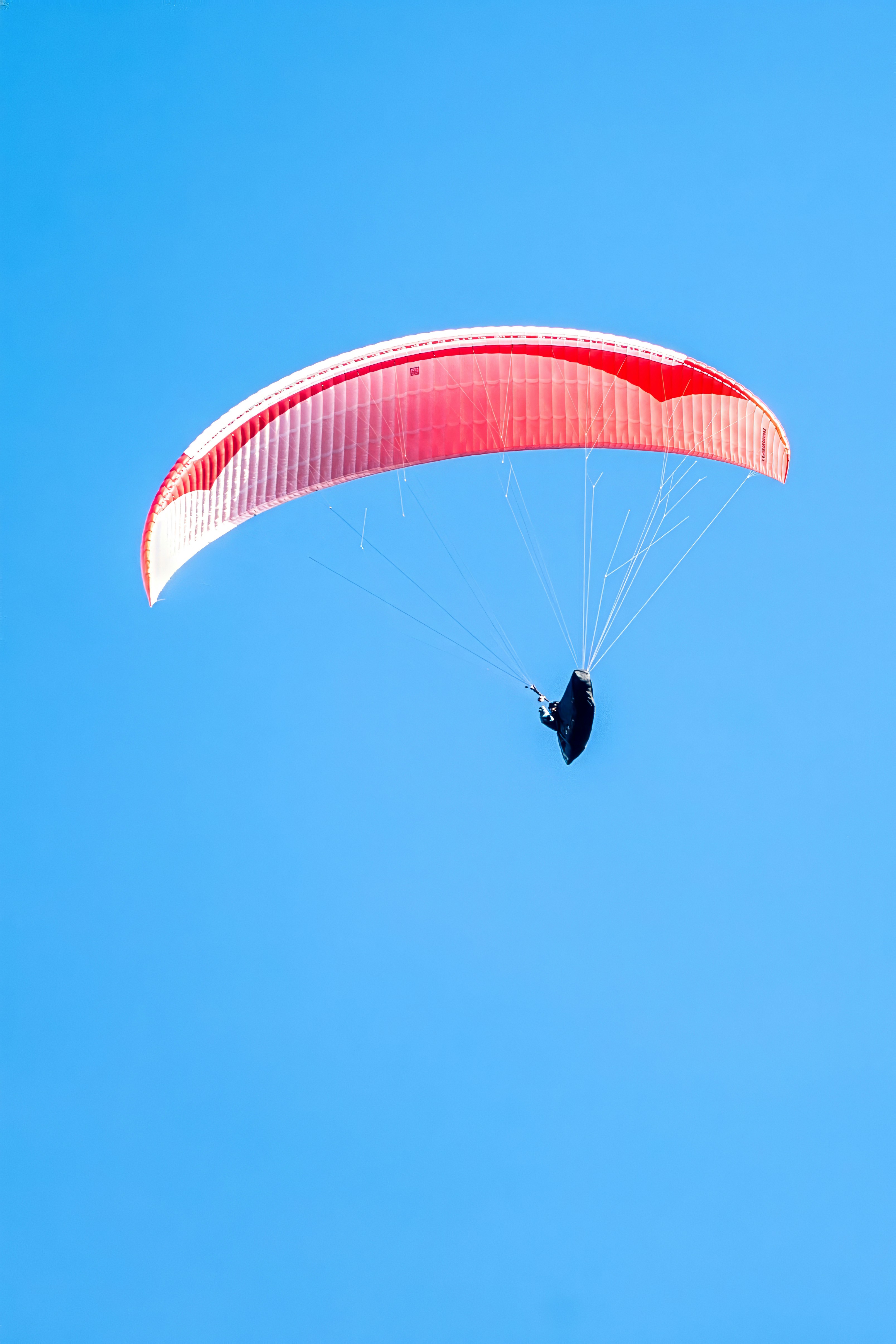 Photo by winstonchen