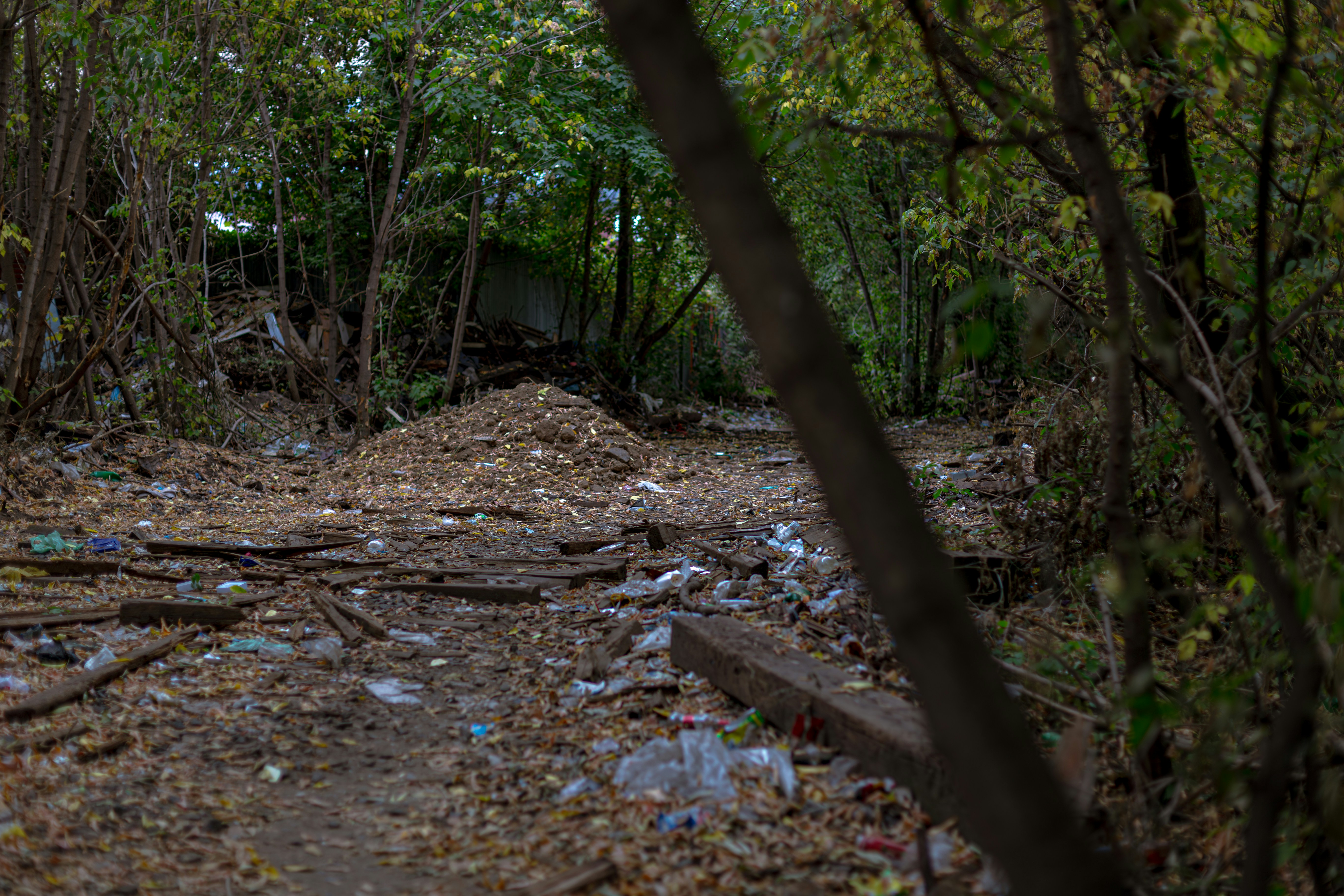Overgrown path littered with debris and fallen leaves
