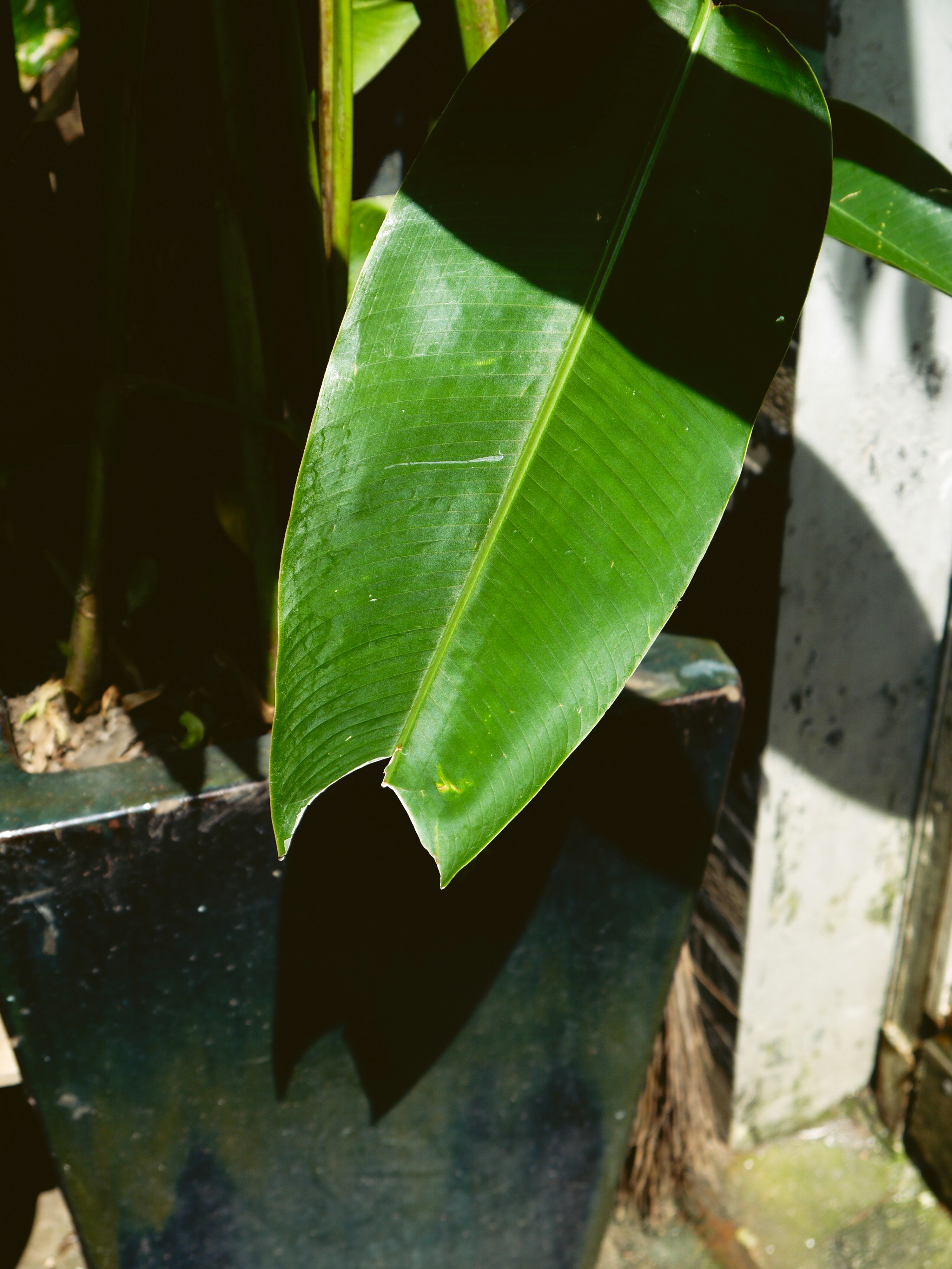 Photo by duongmauxanh