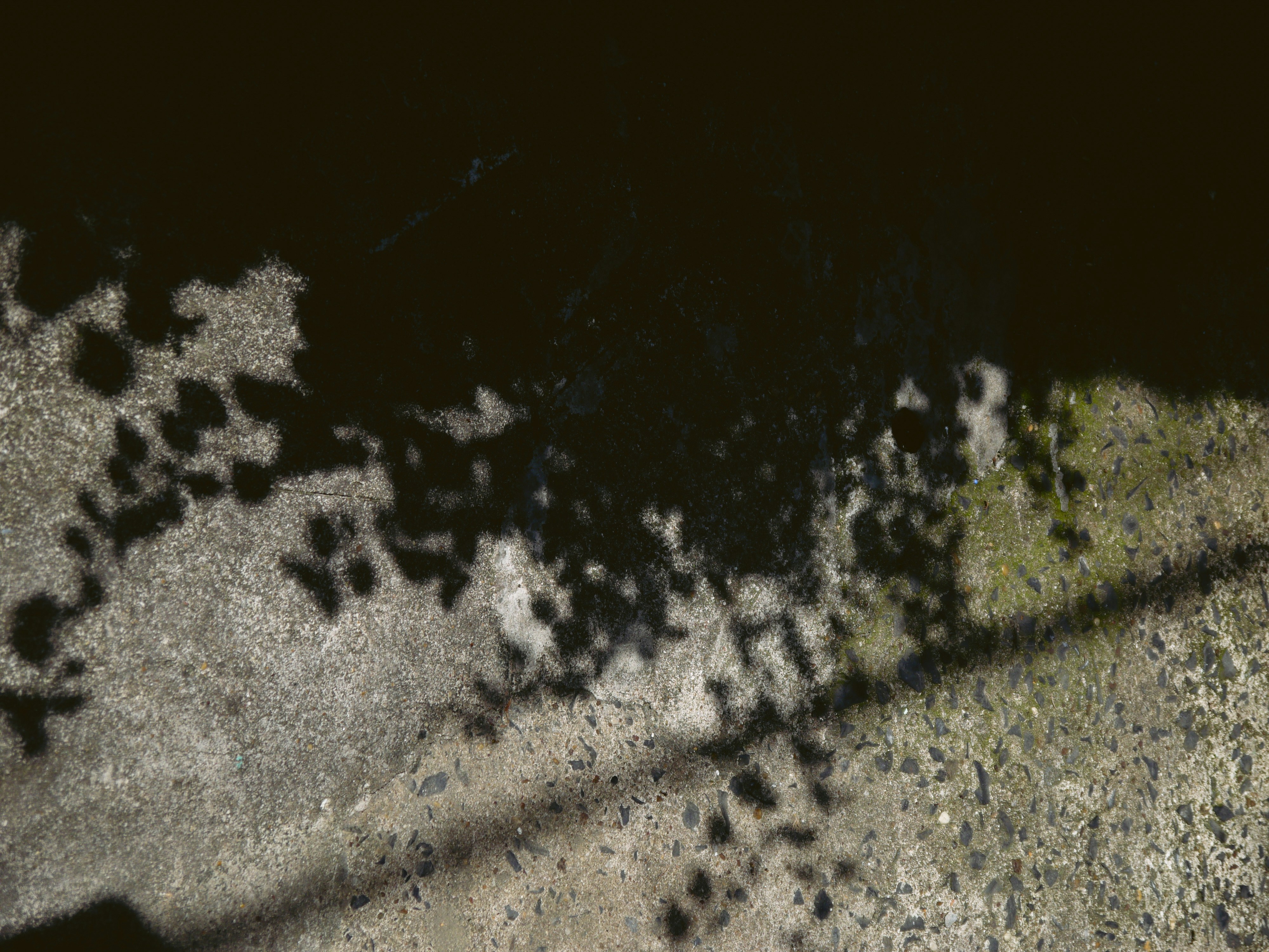 Photo by duongmauxanh