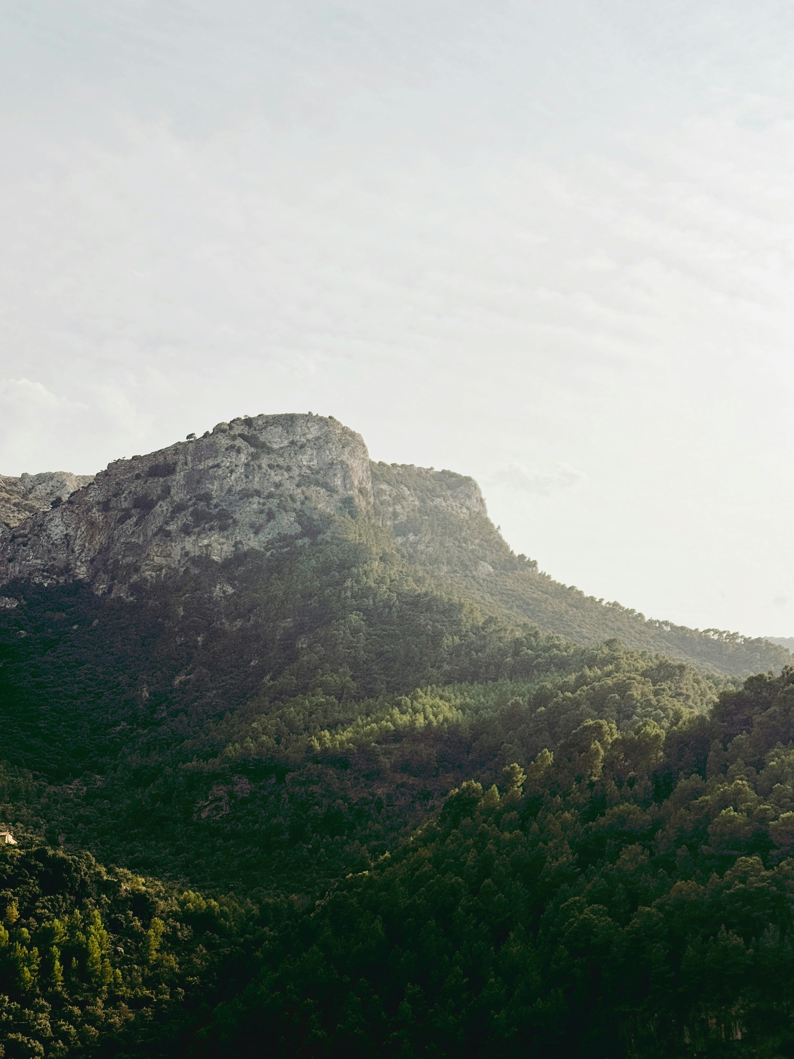 Photo by nateh0lland