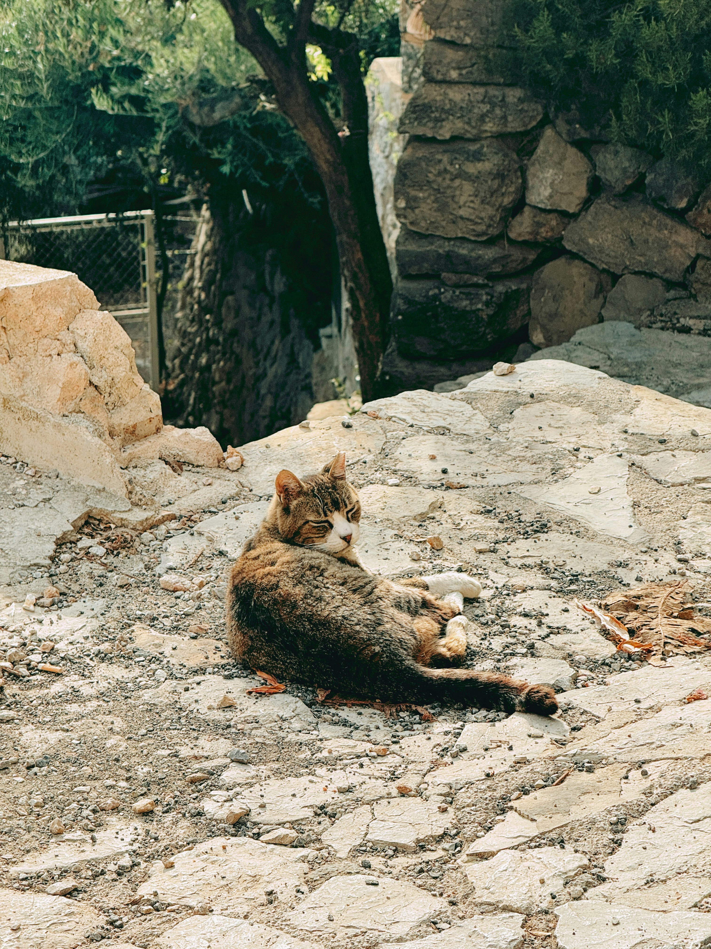 Photo by nateh0lland