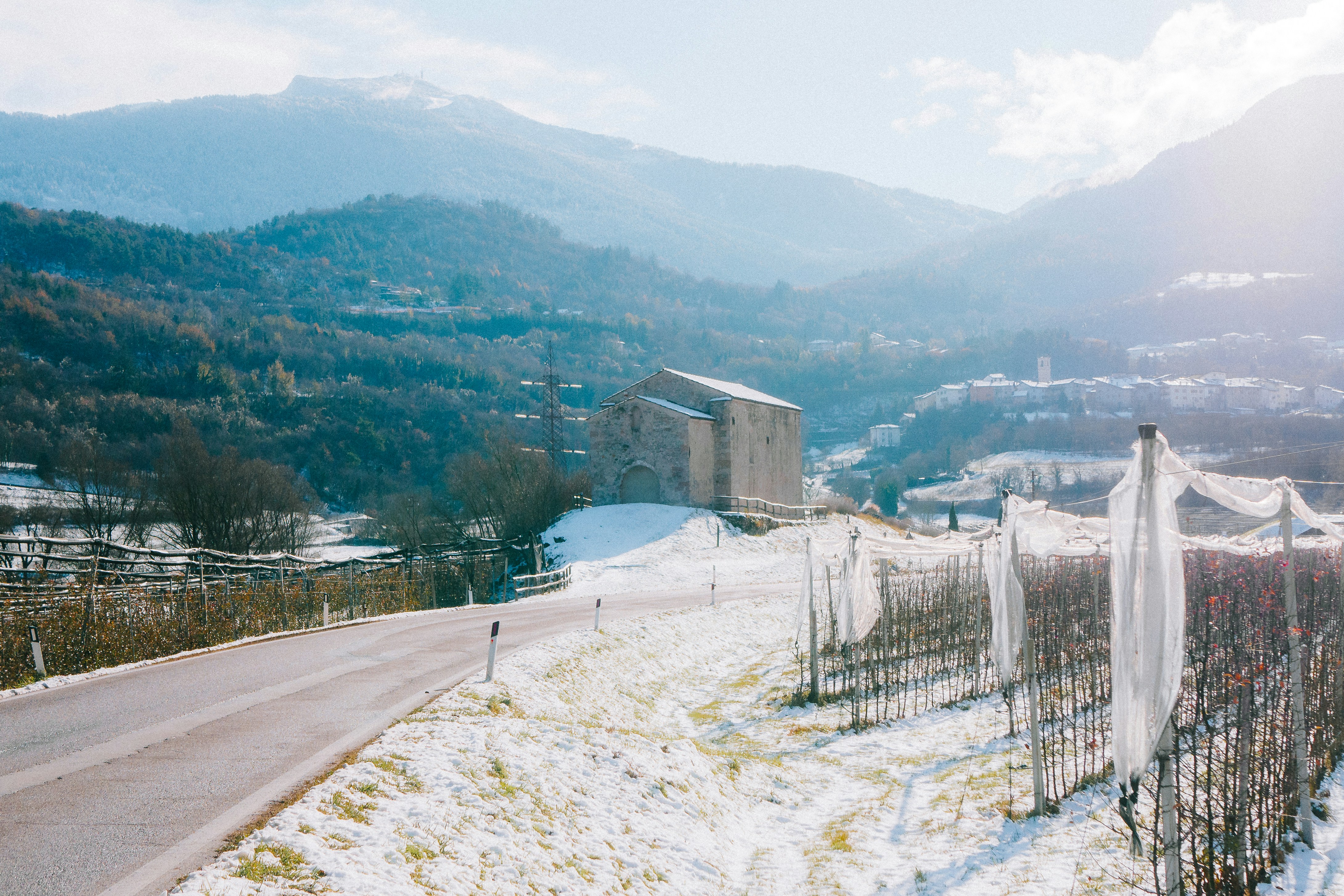 Snowy landscape with a road and vineyard