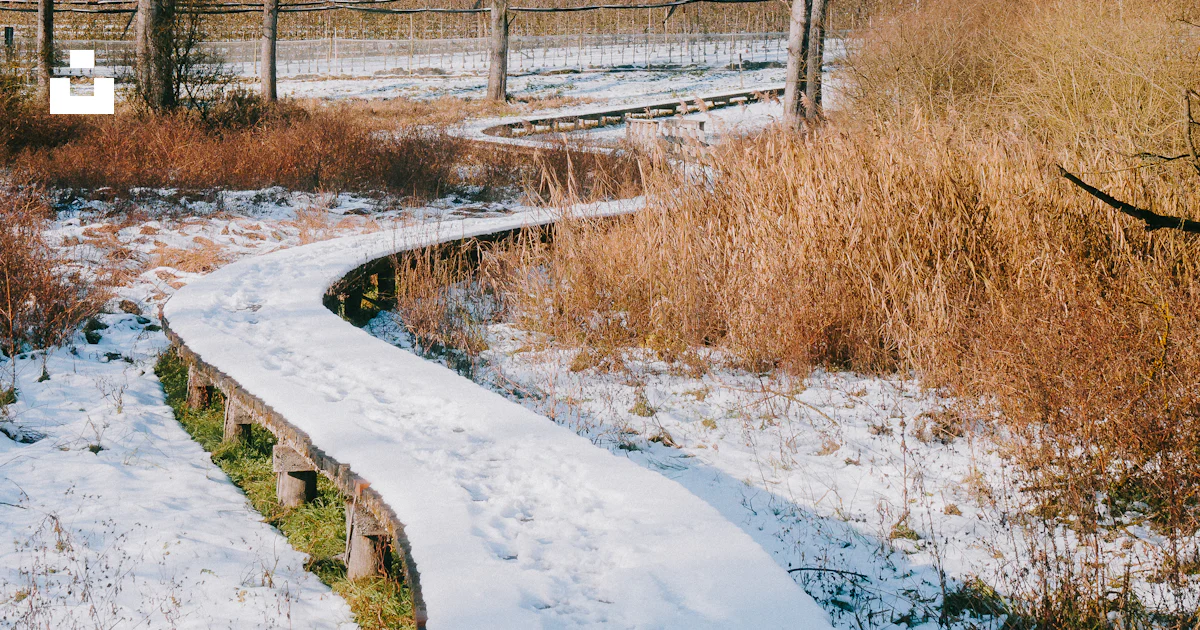 Snow-covered path winds through a winter landscape photo – Free Winter ...