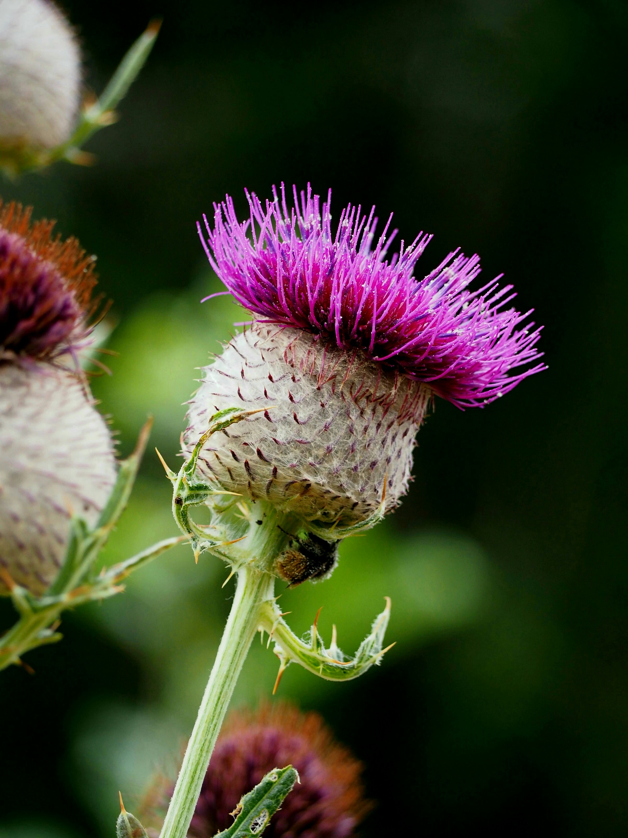 Photo by brodilmatous201023