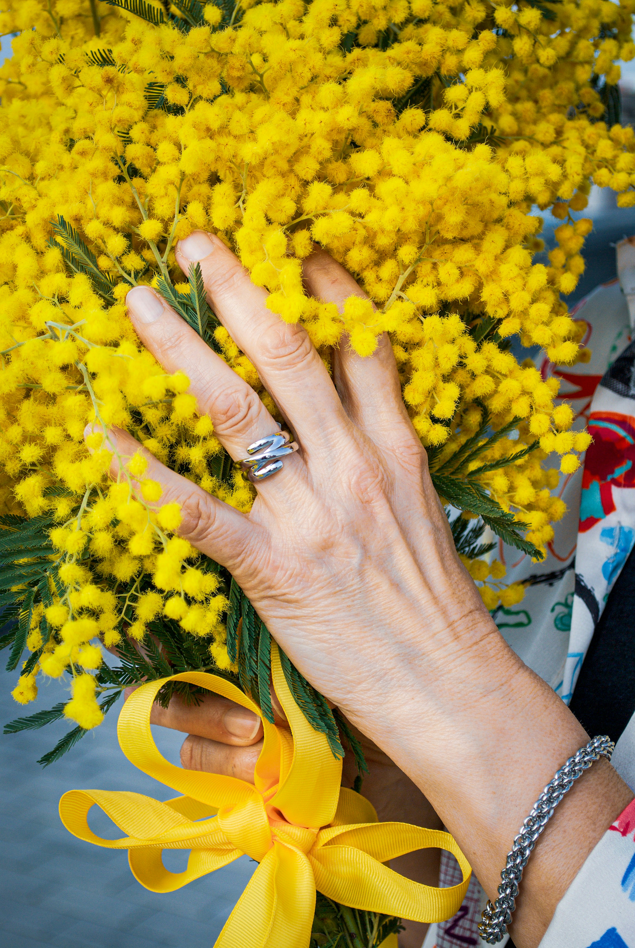 Hand holding a bouquet of yellow mimosa flowers