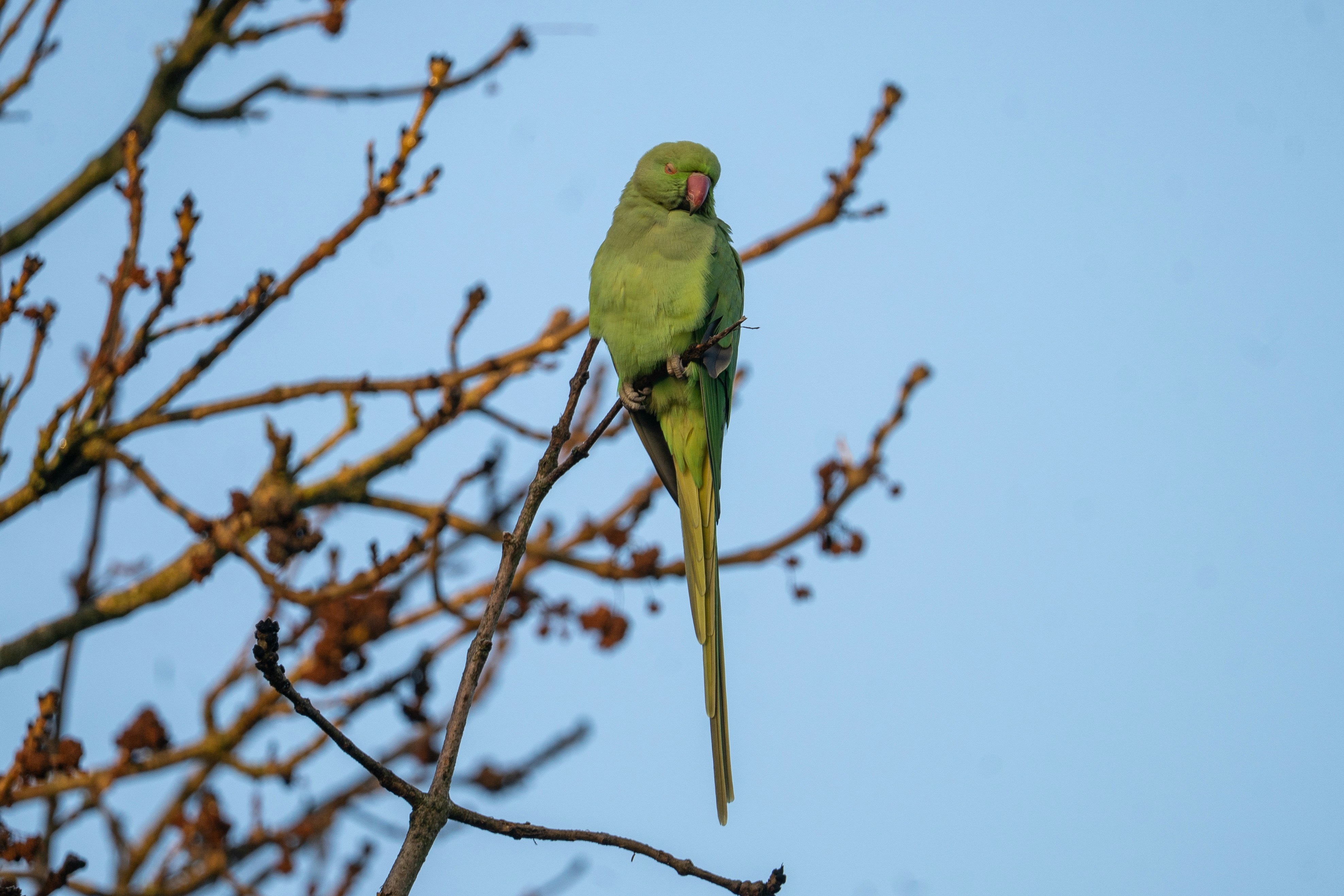 Photo by niall_smith