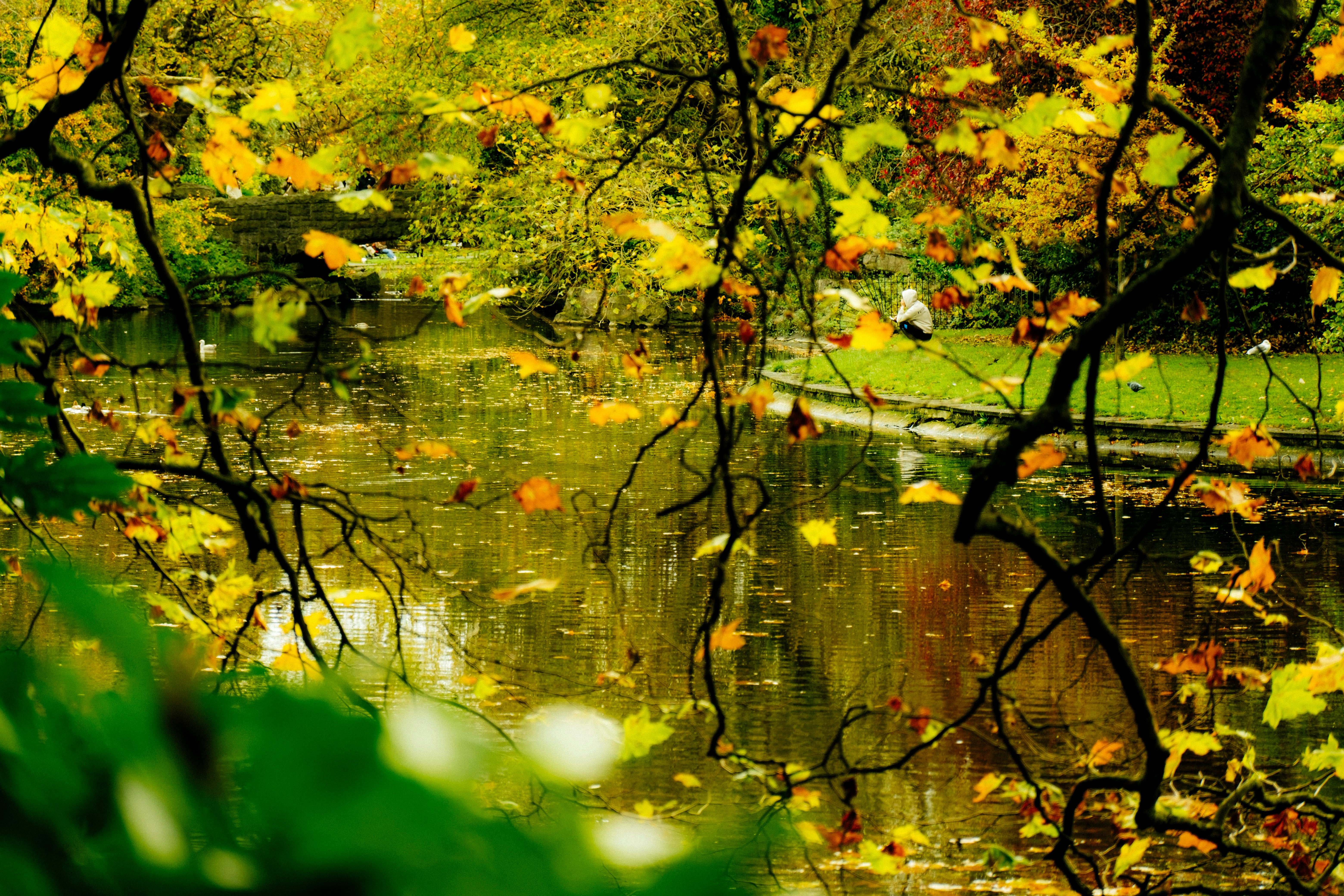 Photo by atelierbyvineeth