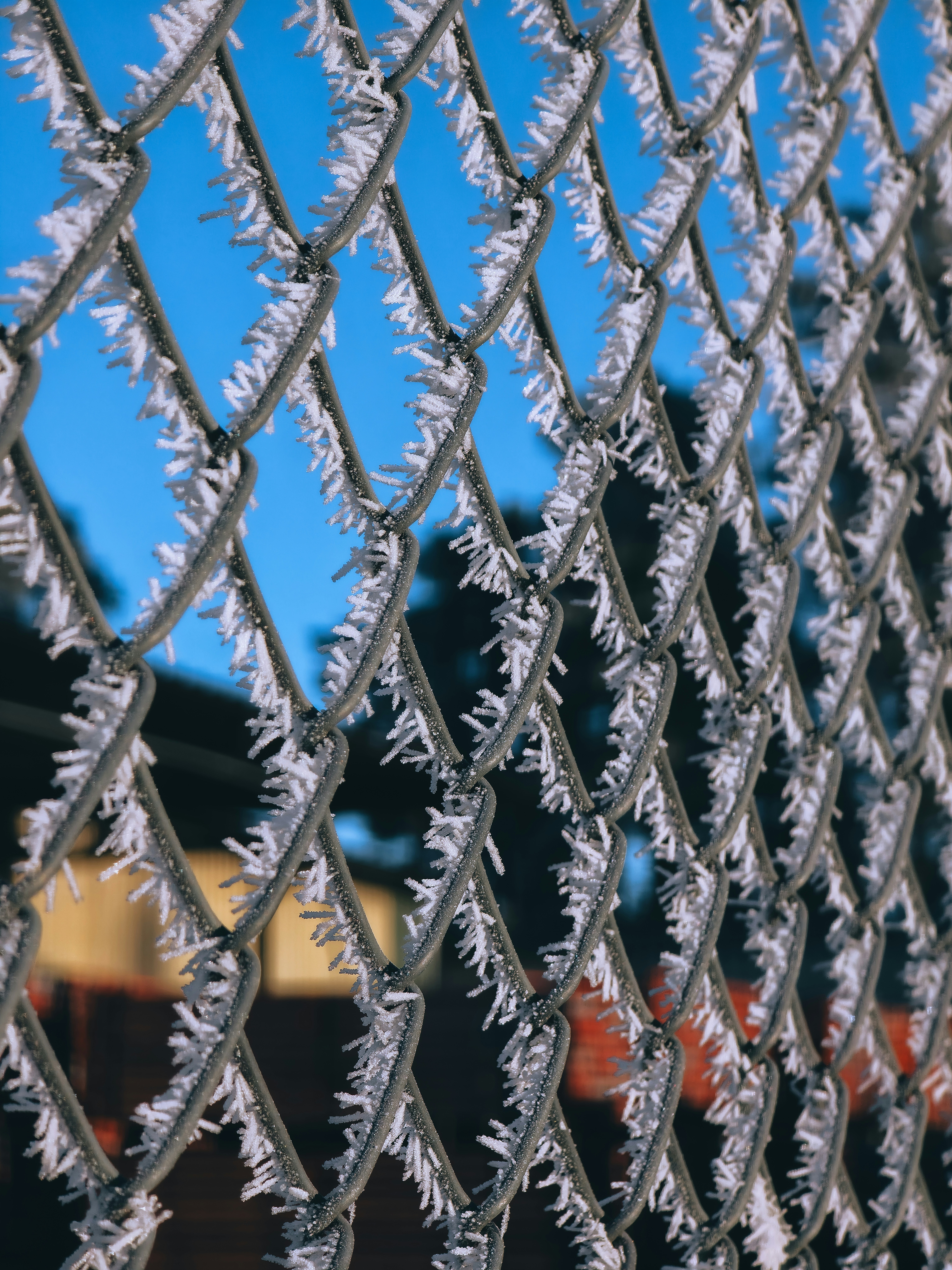 A chain-link fence covered in frost with blue sky.