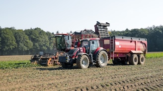 Red tractor harvesting crops in a field.