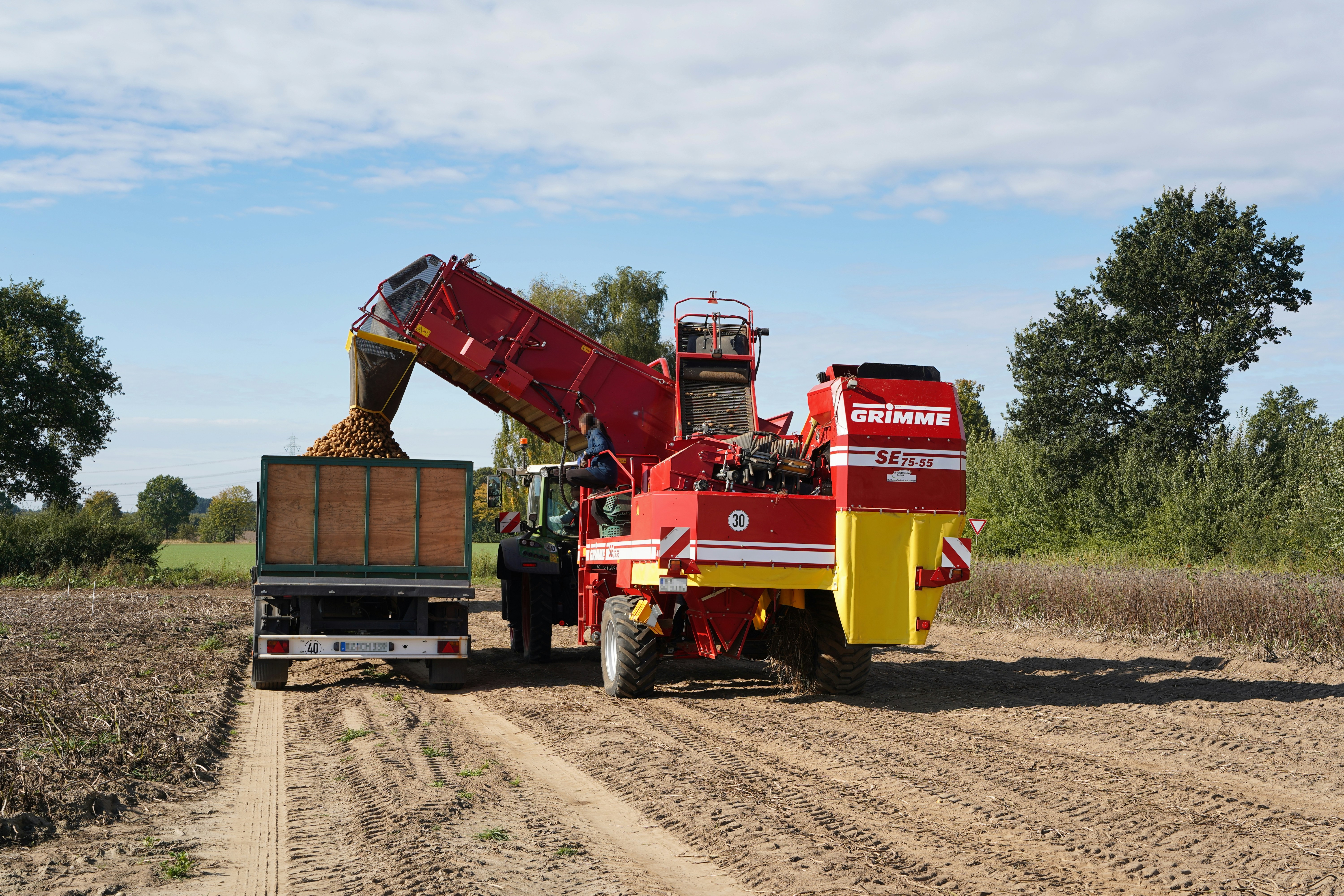 Harvester machine unloading potatoes into a trailer