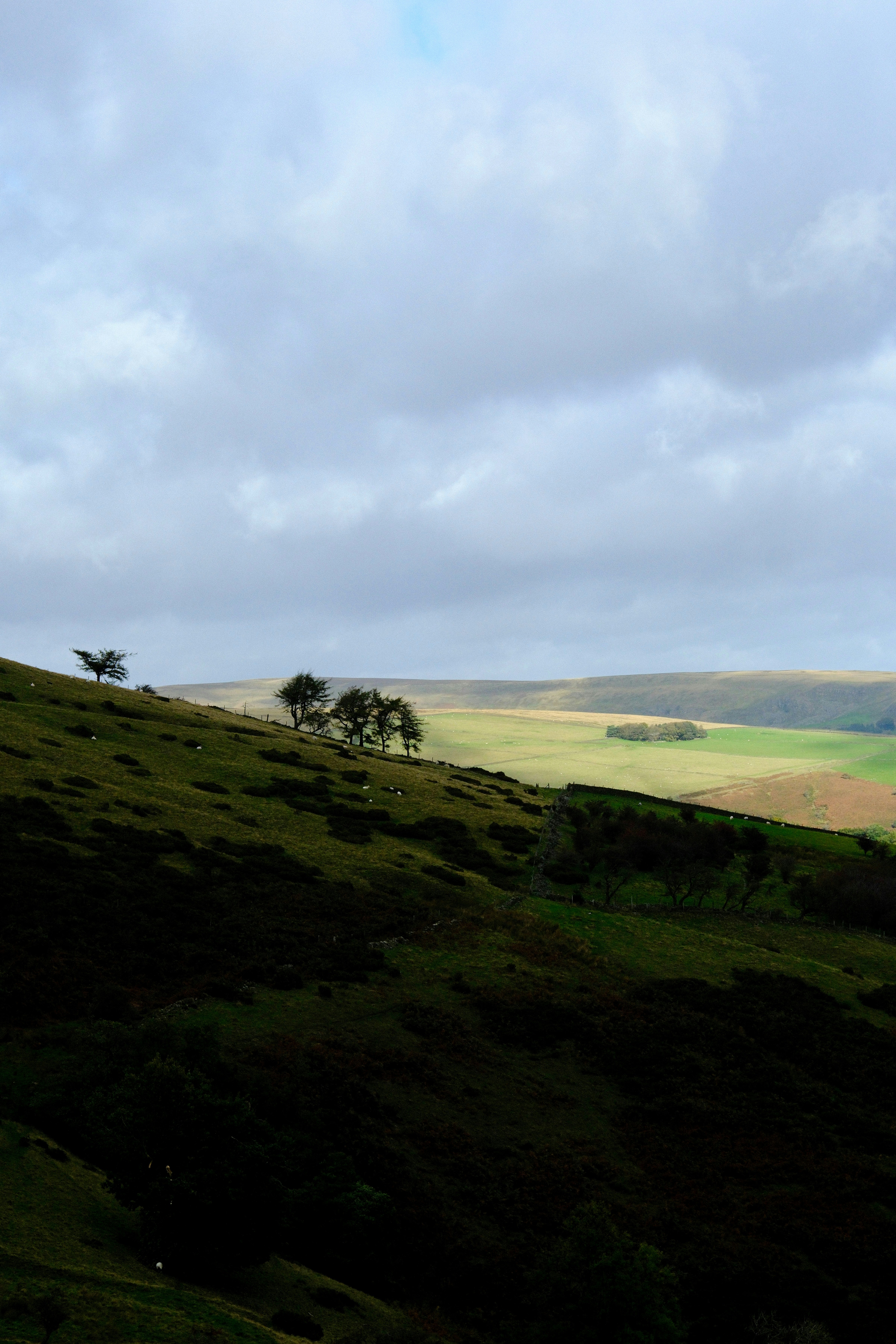 Photo by alekseixagafonov