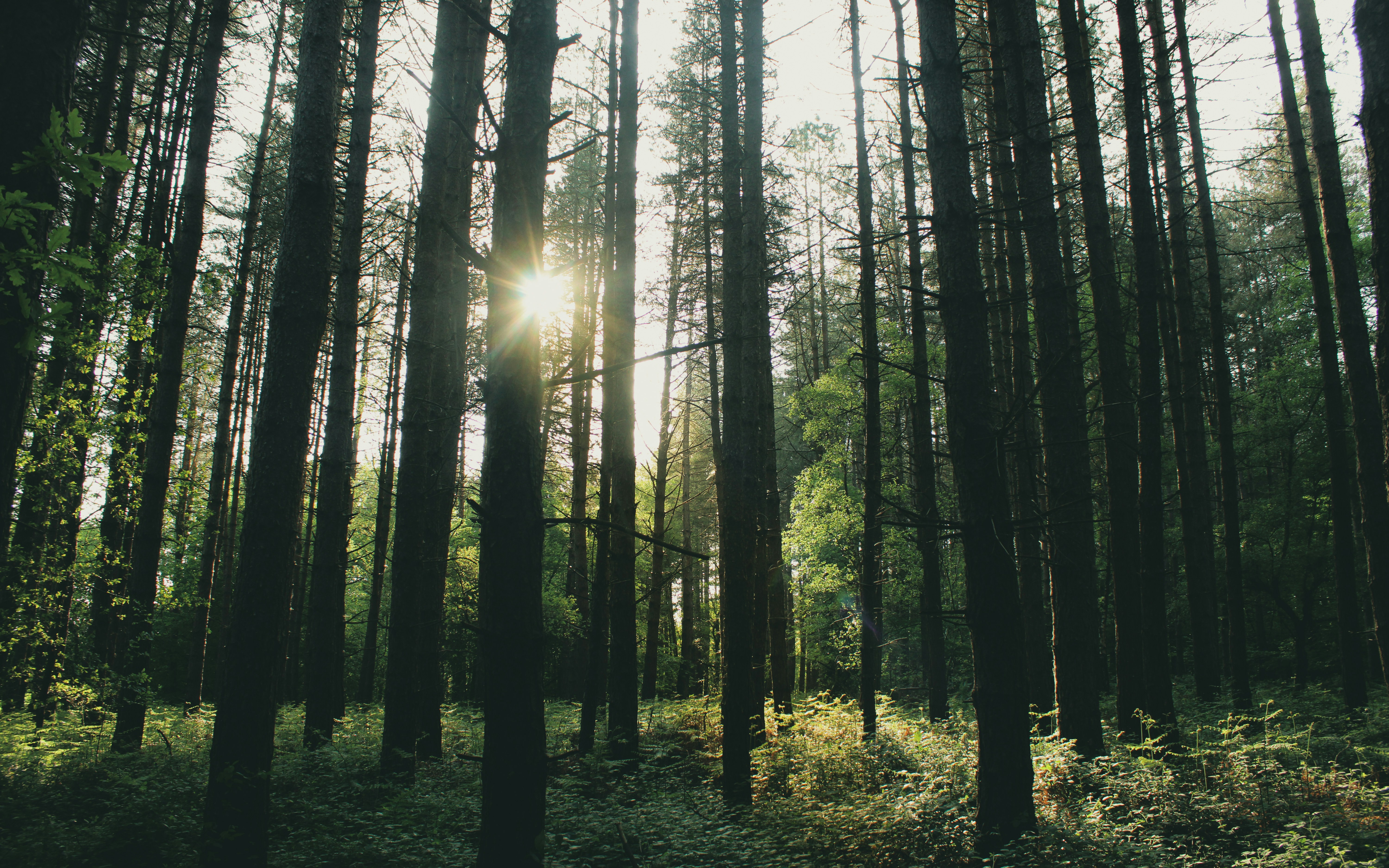 Photo by willcorrigan06