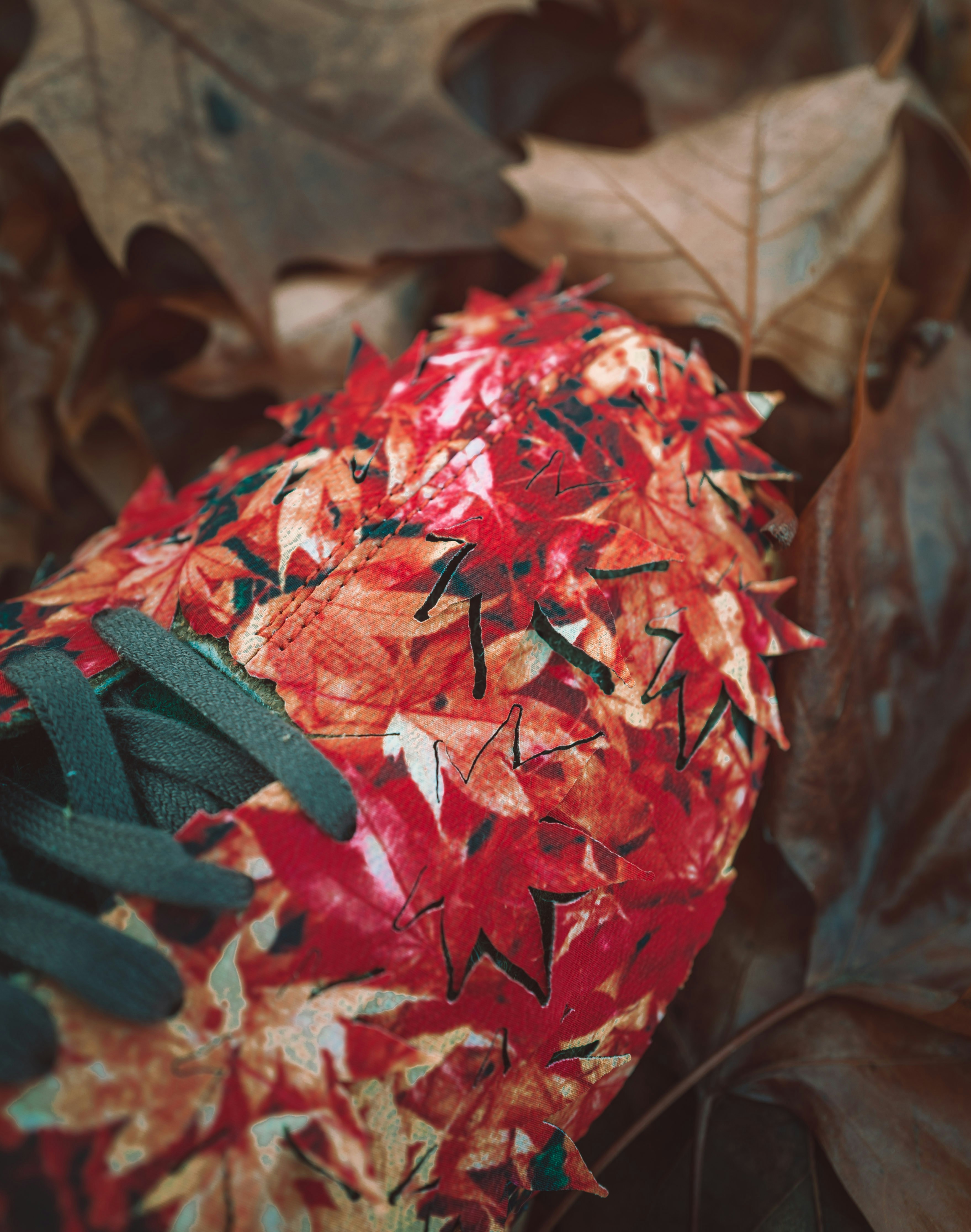 Une chaussure couverte de feuilles d’automne