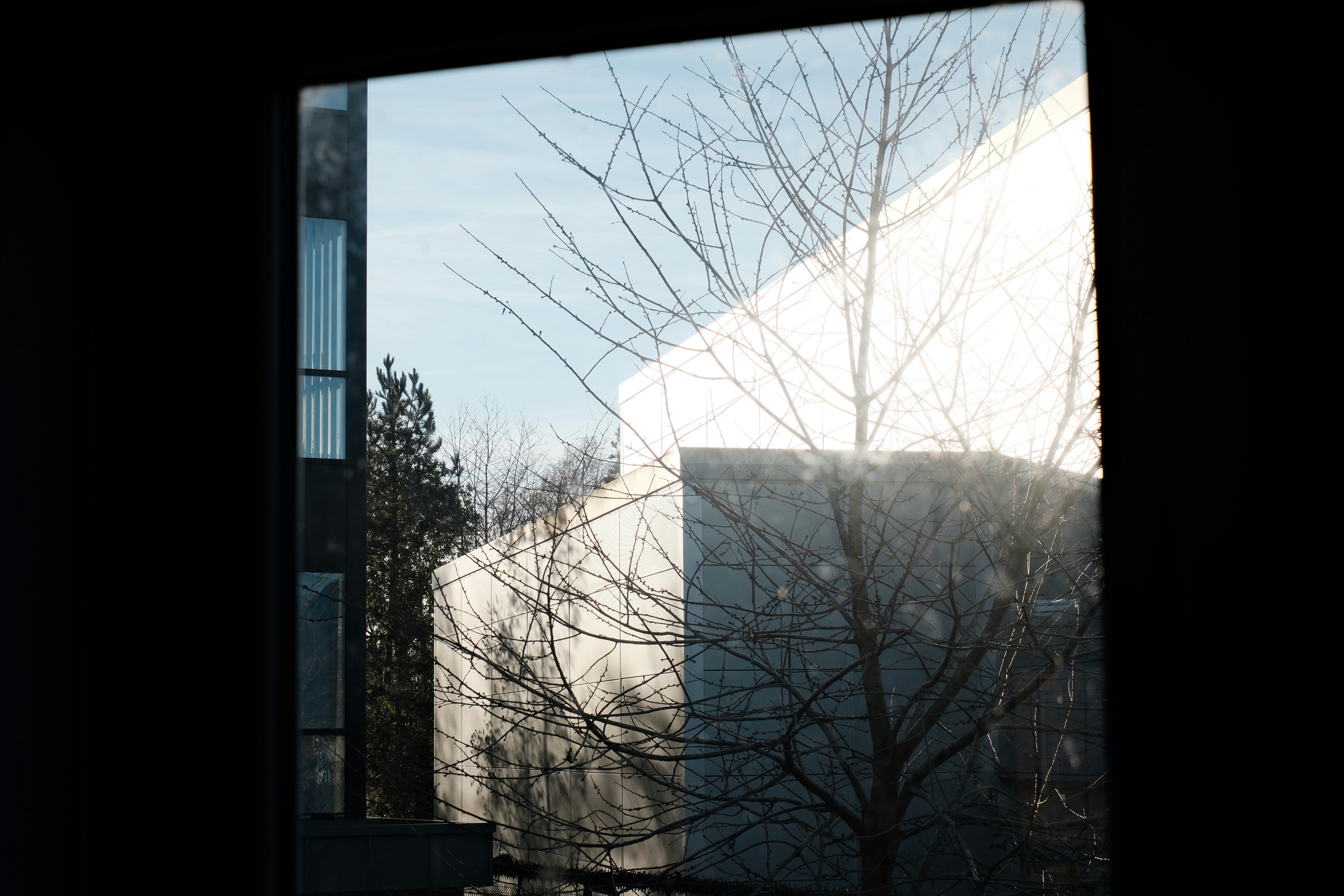 Photo by cranky_bear