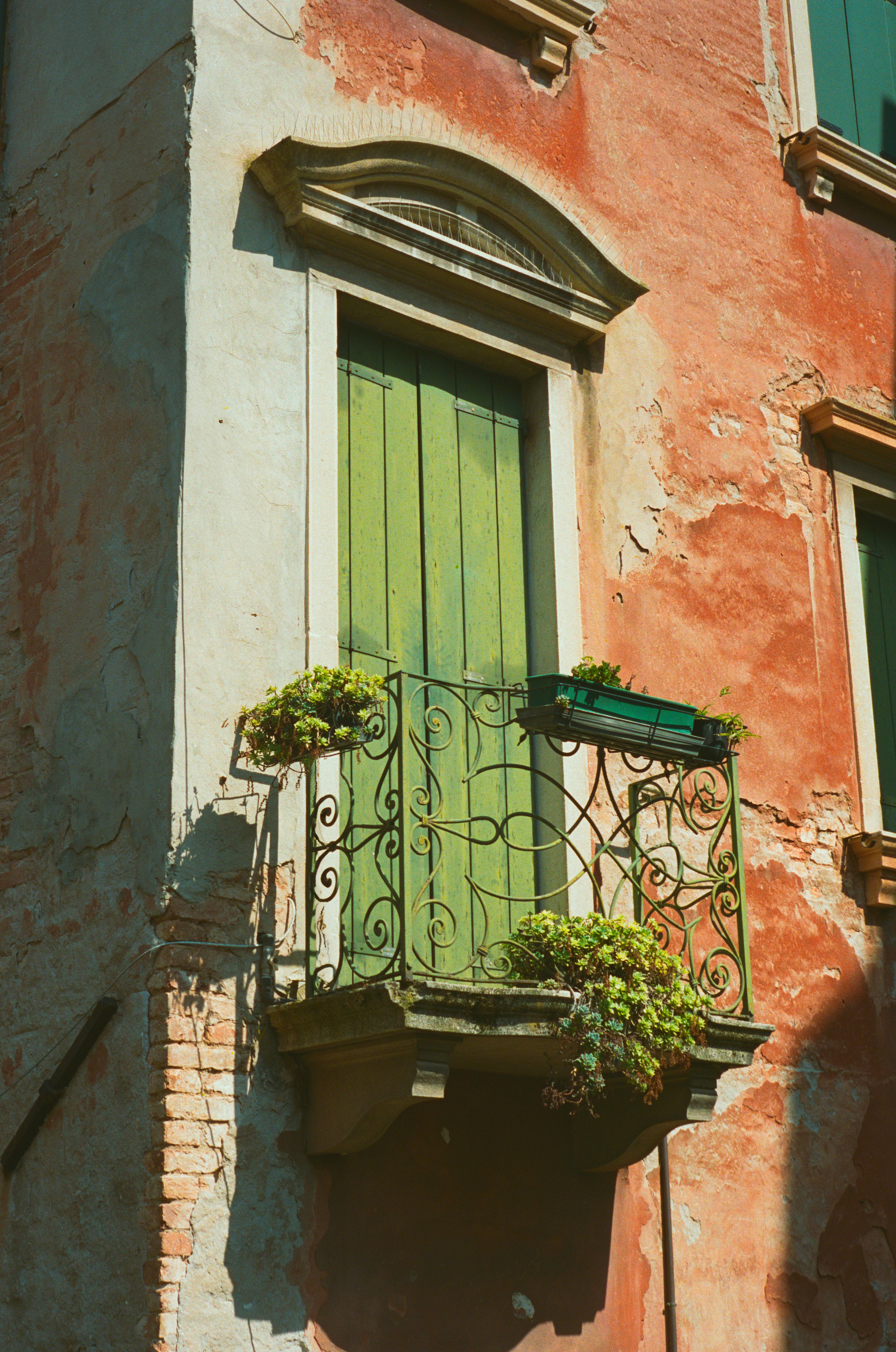 Photo by intrepidfilm