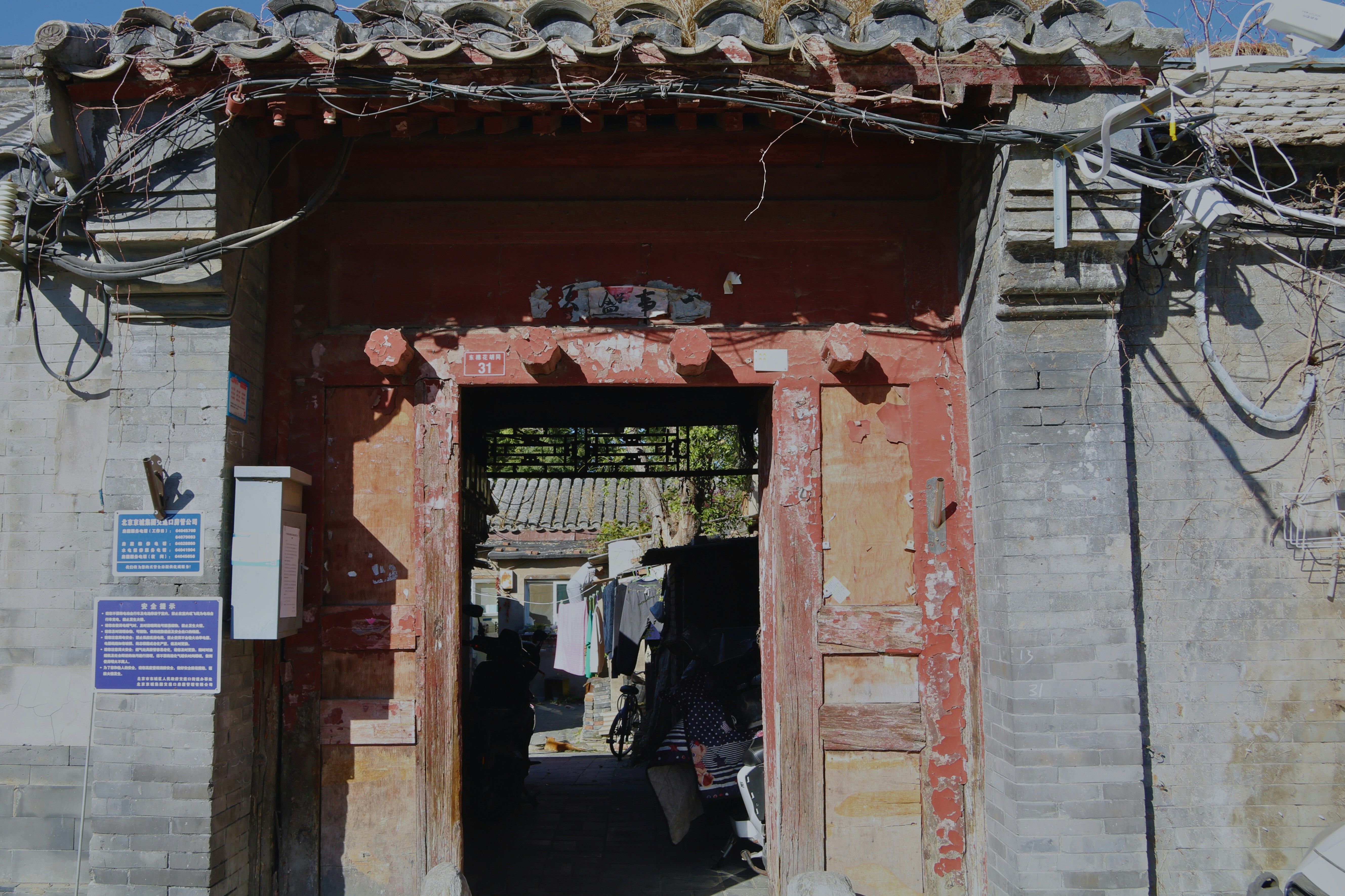 Photo by brunafisantos