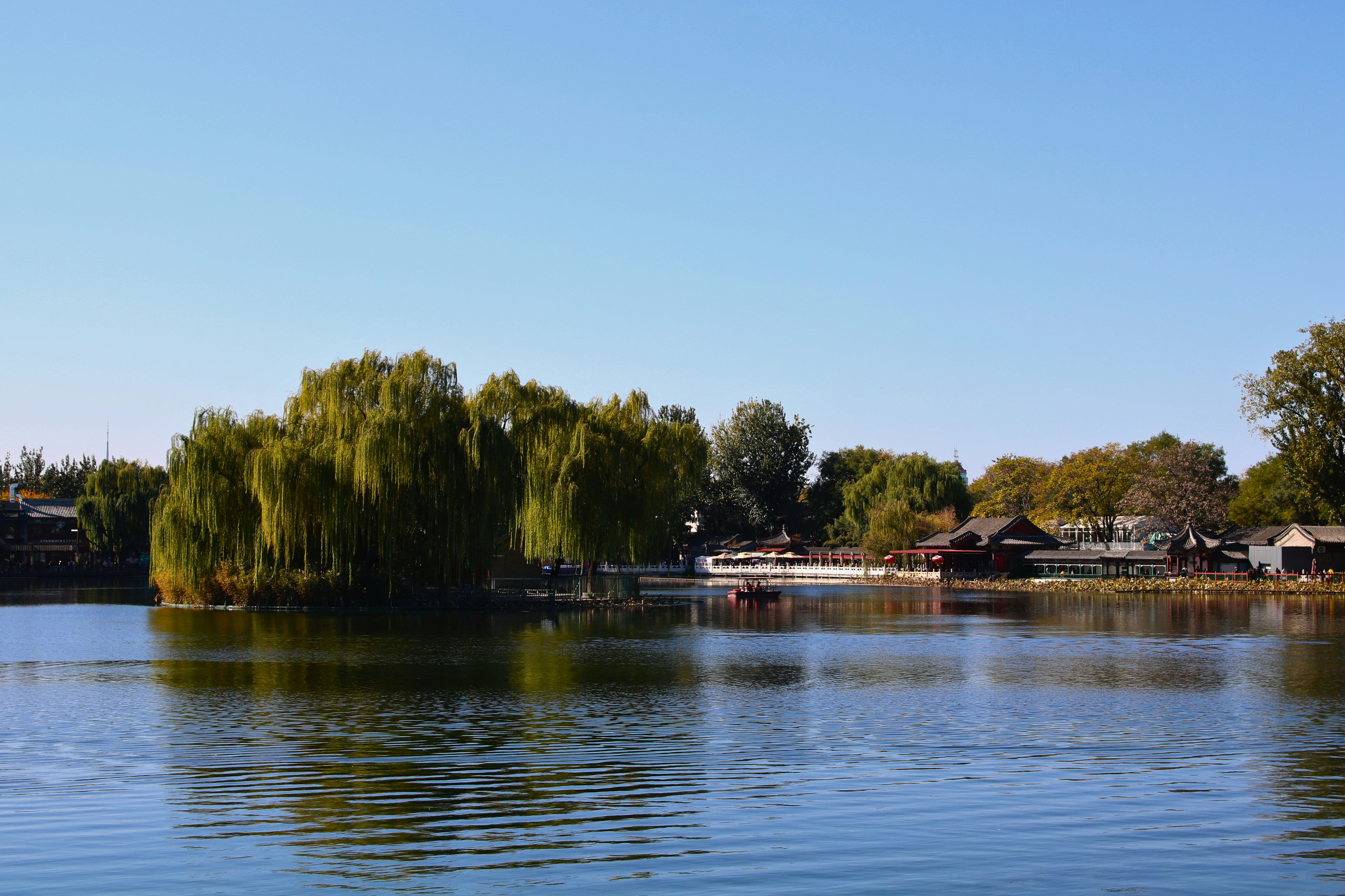 Photo by brunafisantos