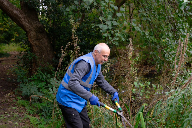 Stihl cordless hedge trimmer
