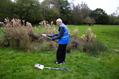 A man trimming bushes in a garden