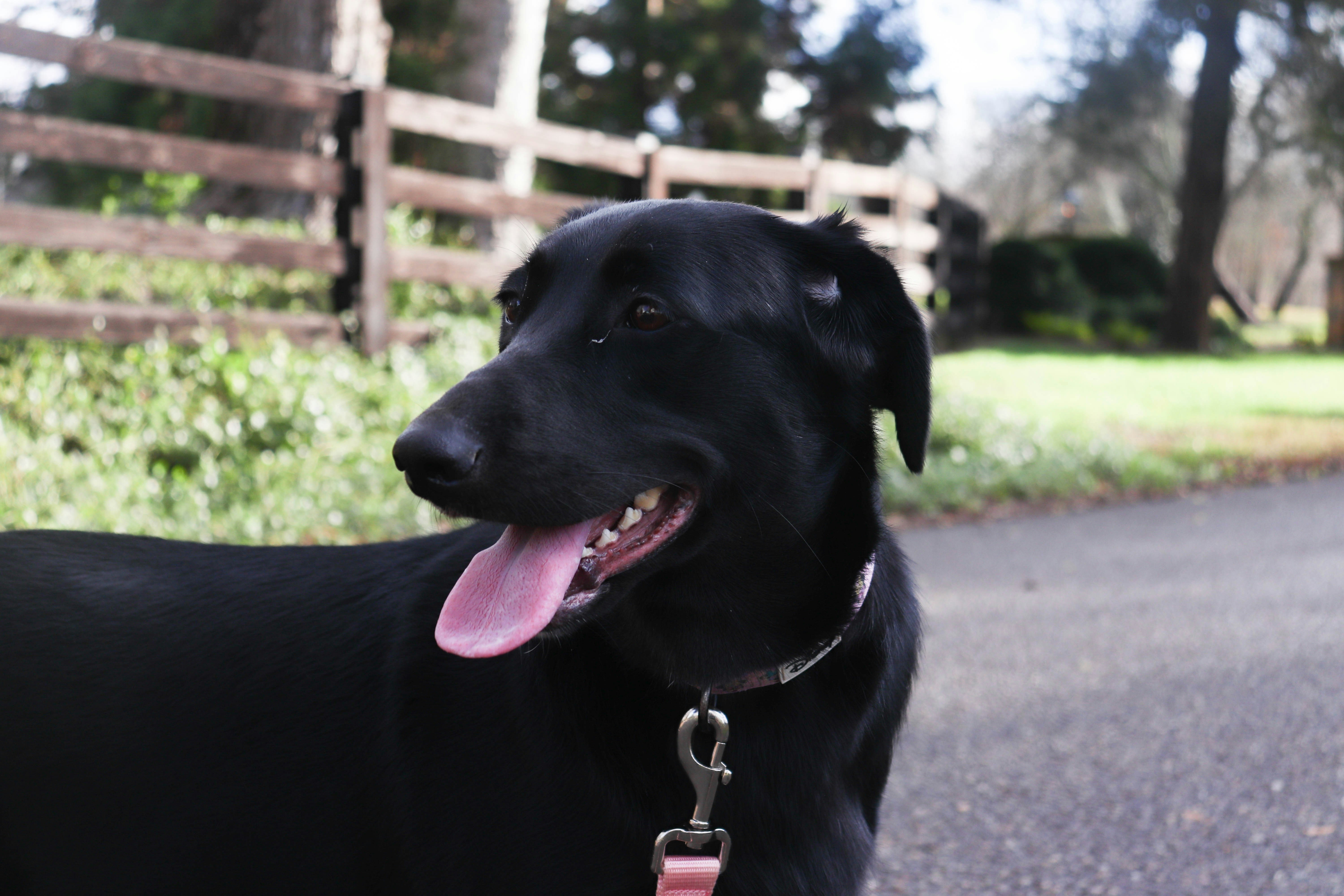 Photo by lroberts067