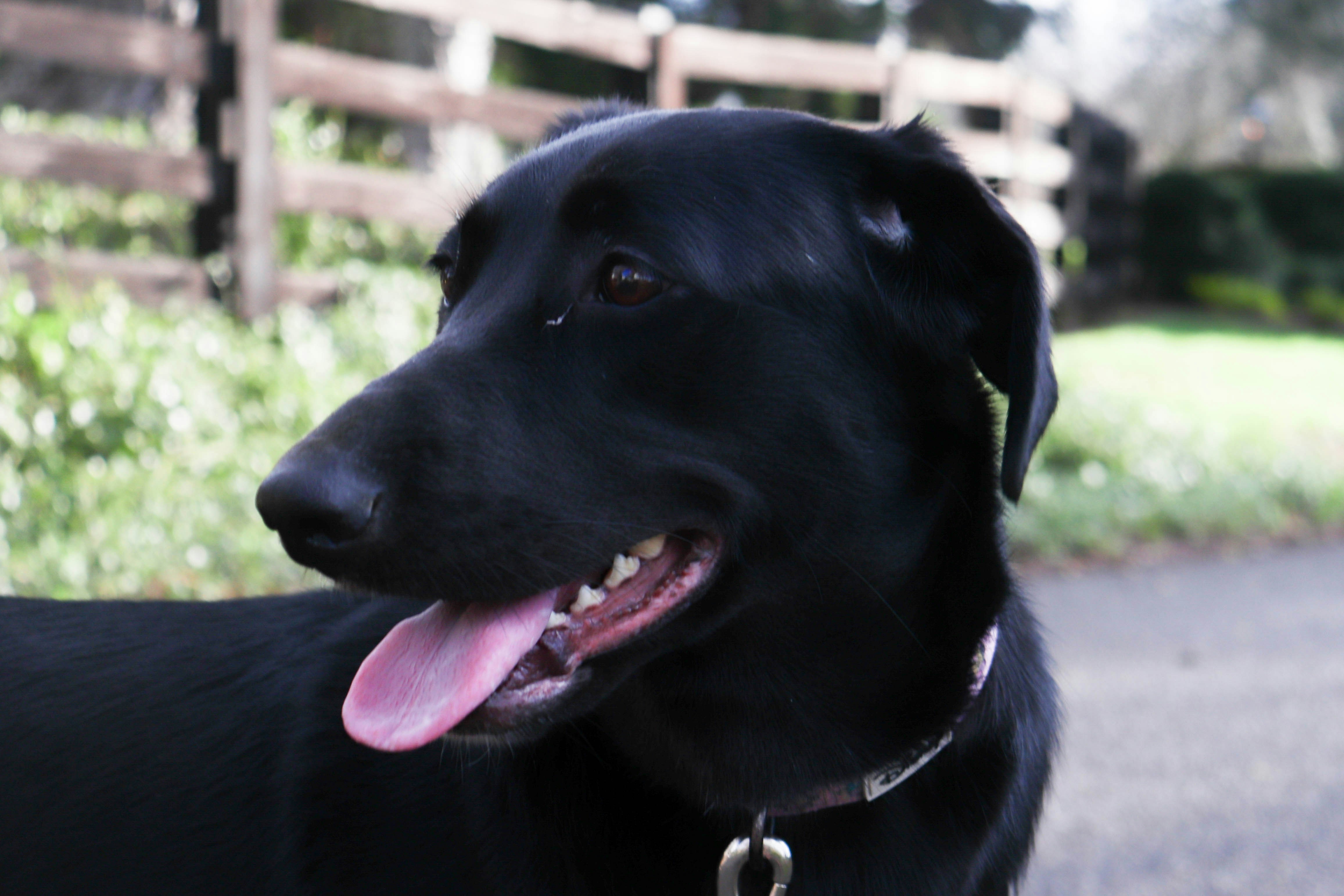 Photo by lroberts067