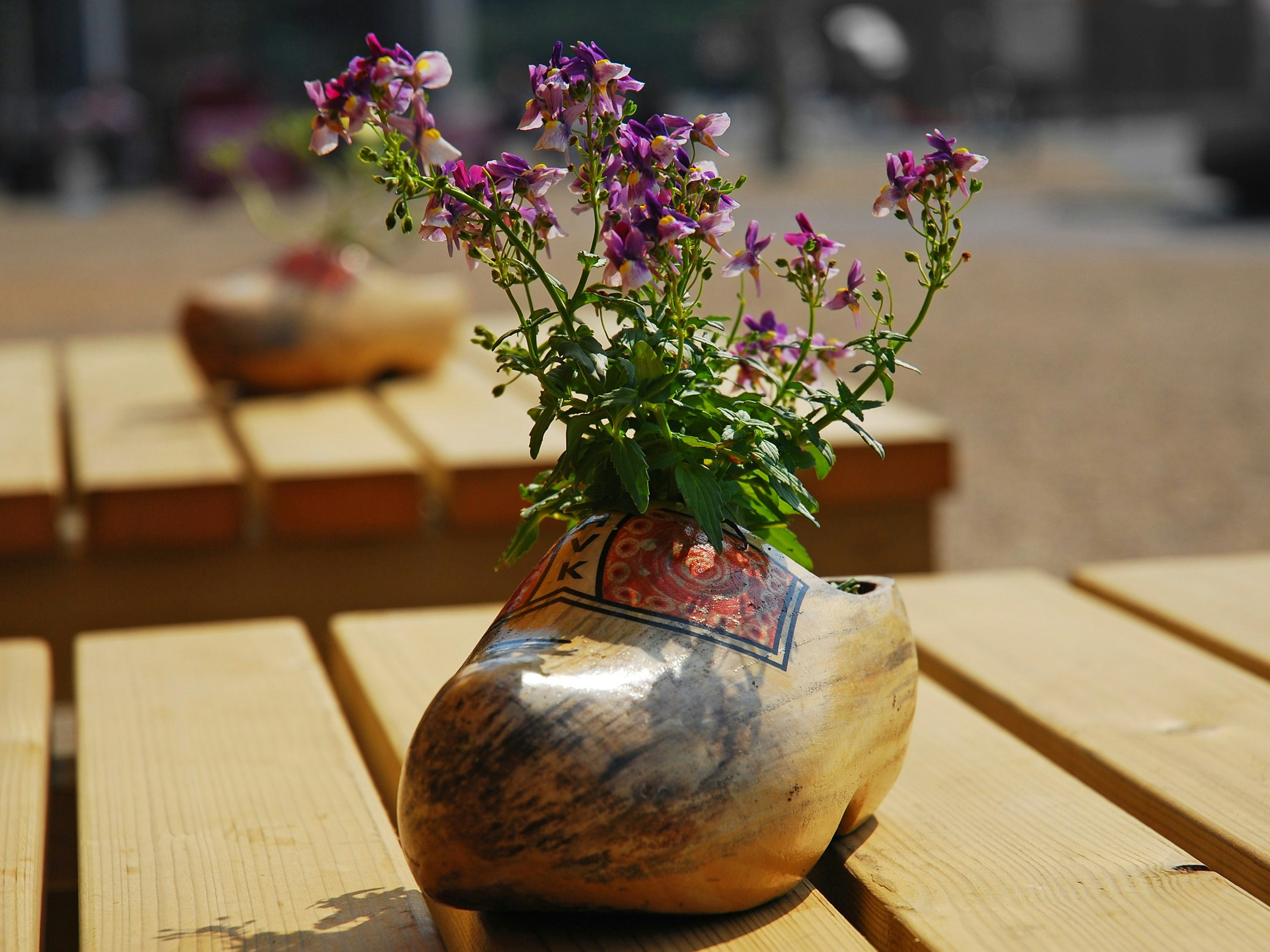 Wooden shoe planter with purple flowers on table