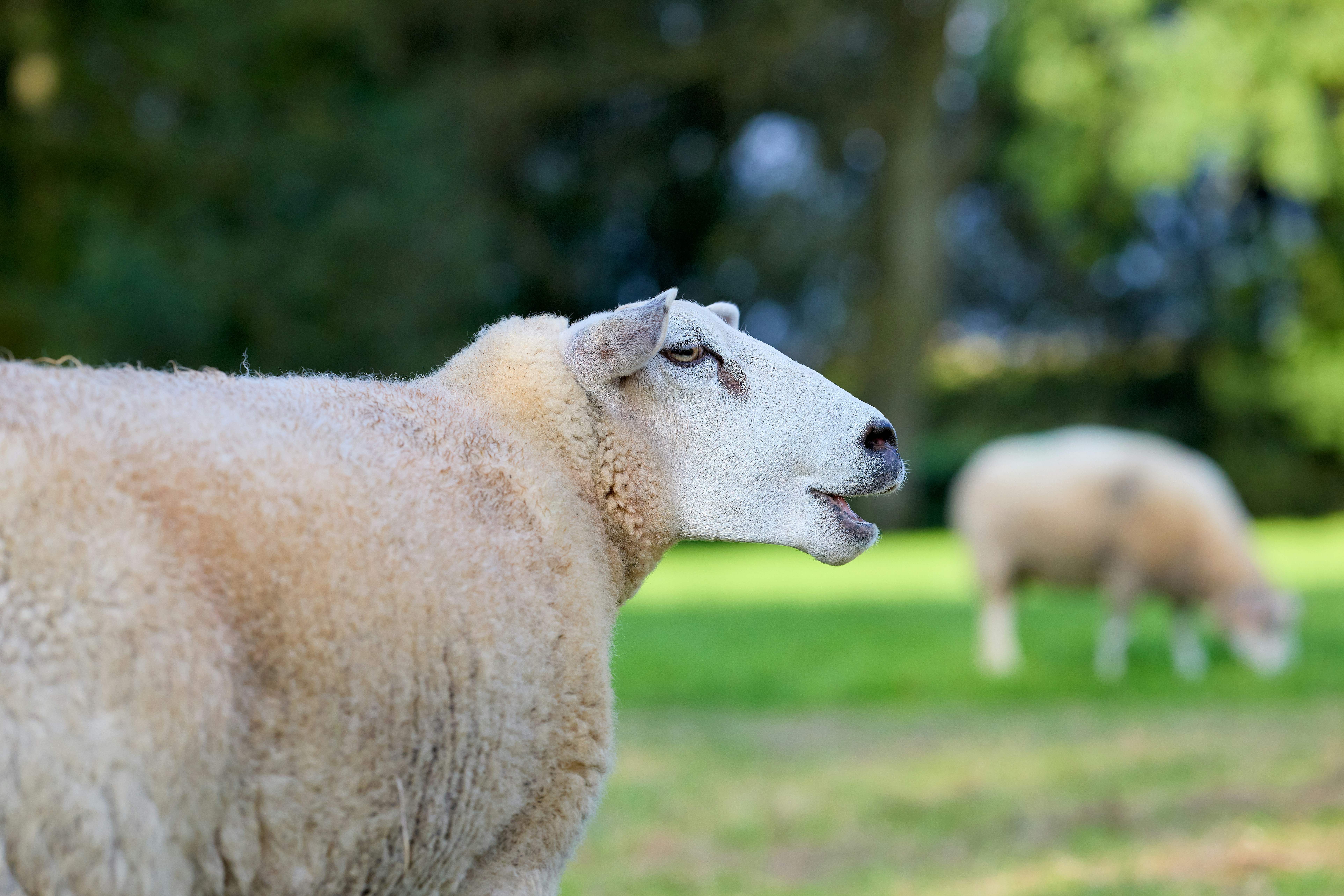 Photo by erwinbosman