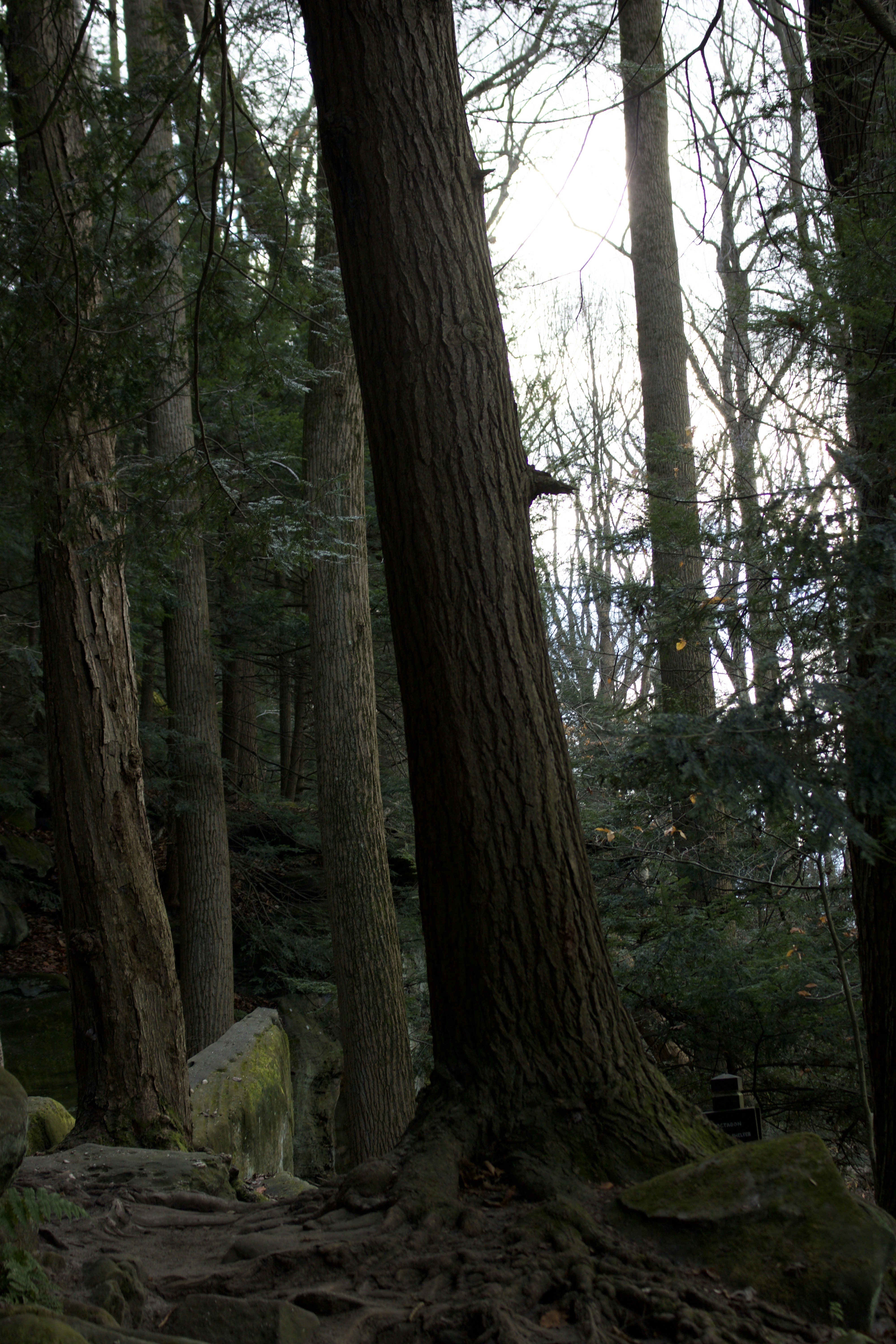 Photo by patrickmarion03