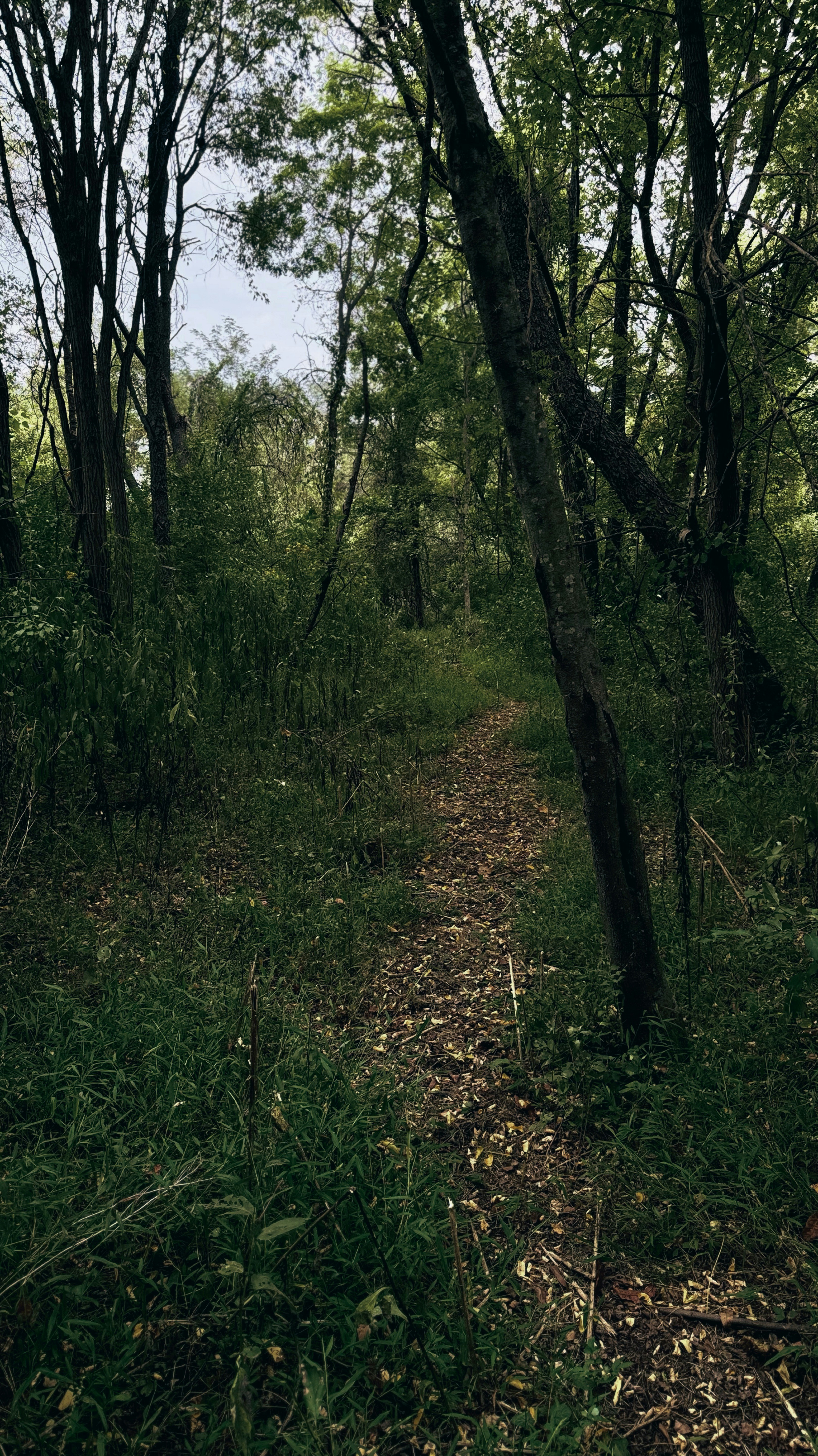 Photo by patrickmarion03