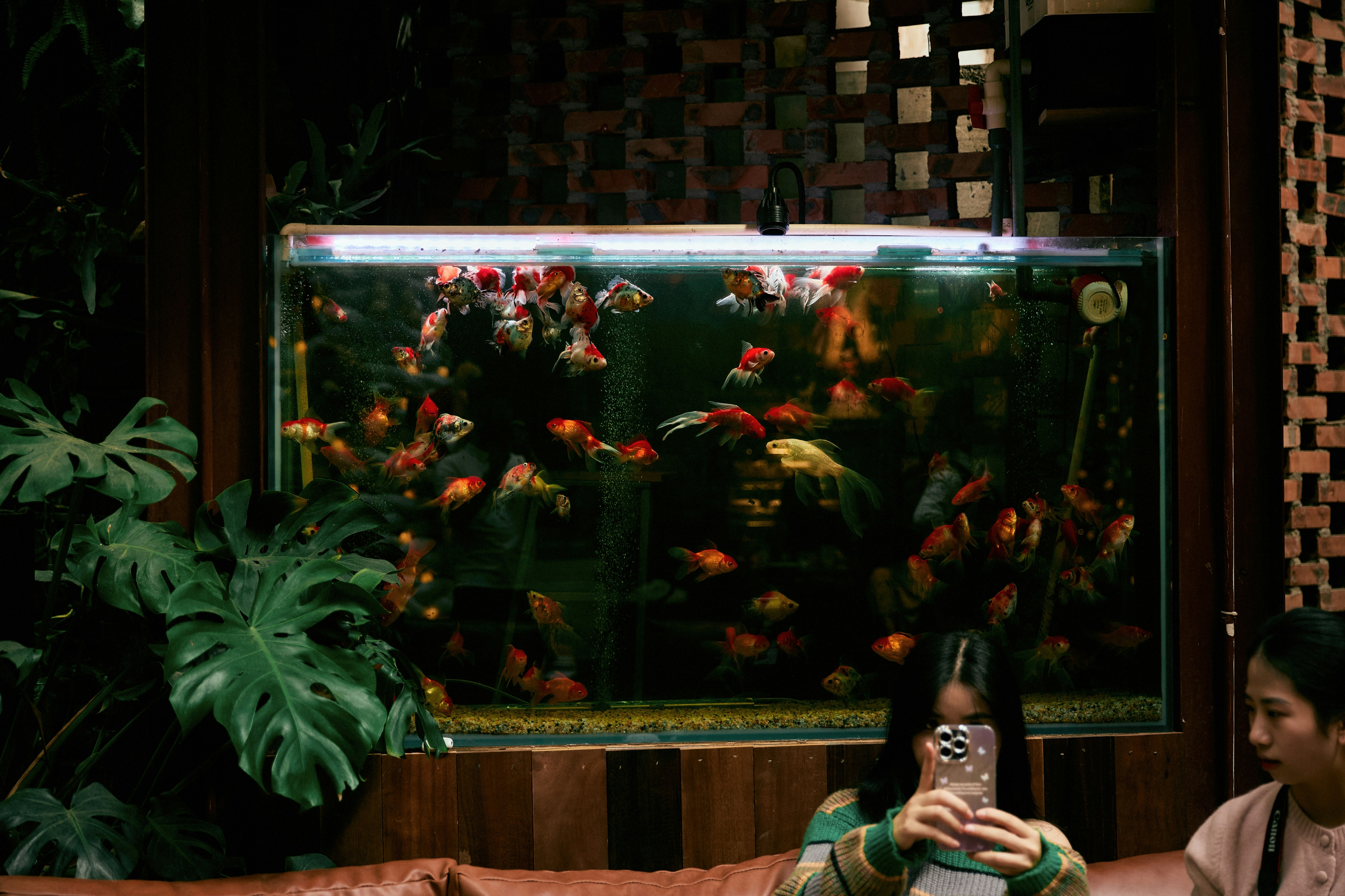 A beautiful, well-decorated fish tank